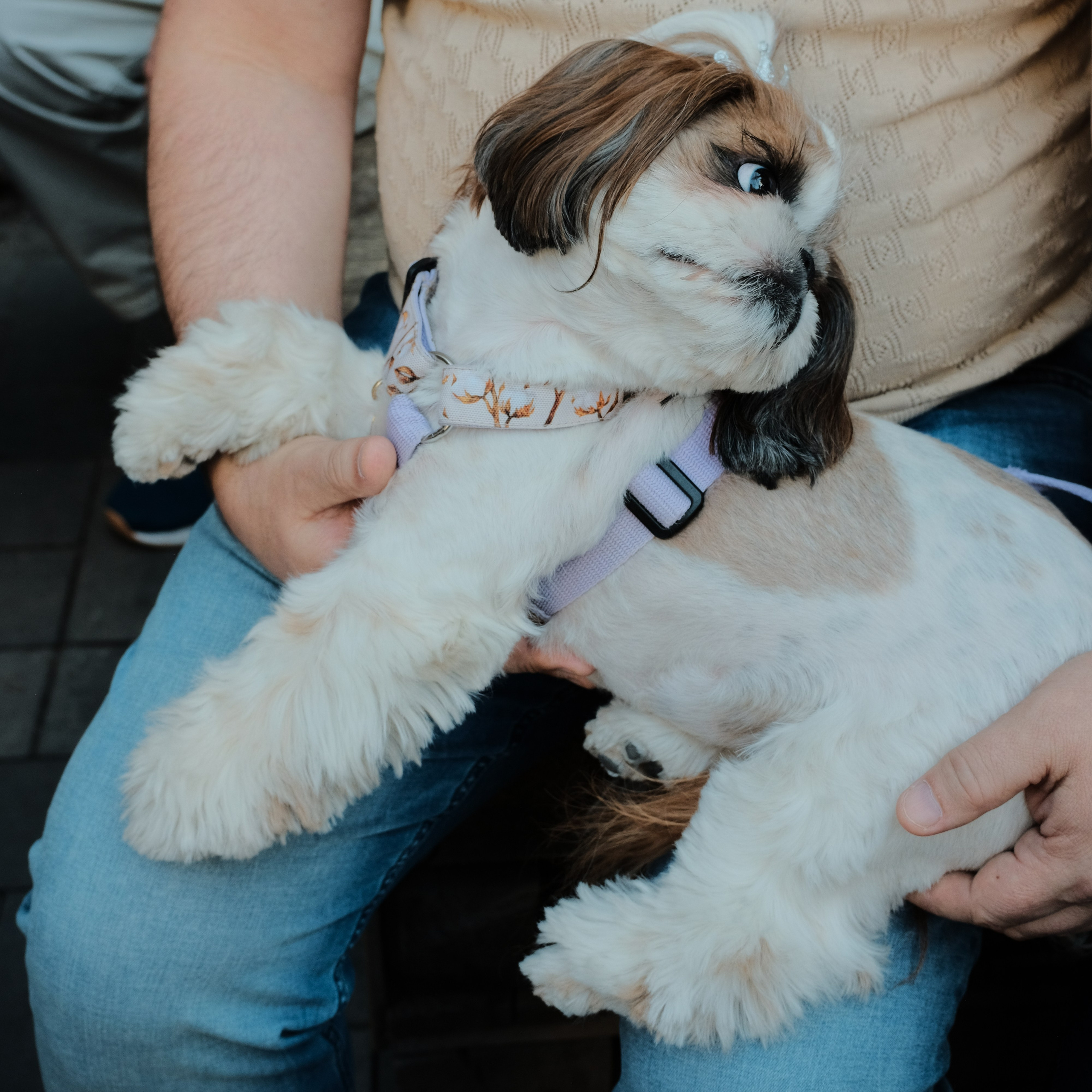 Rostov-on-Don. Creative travel photographer — Berg Daria