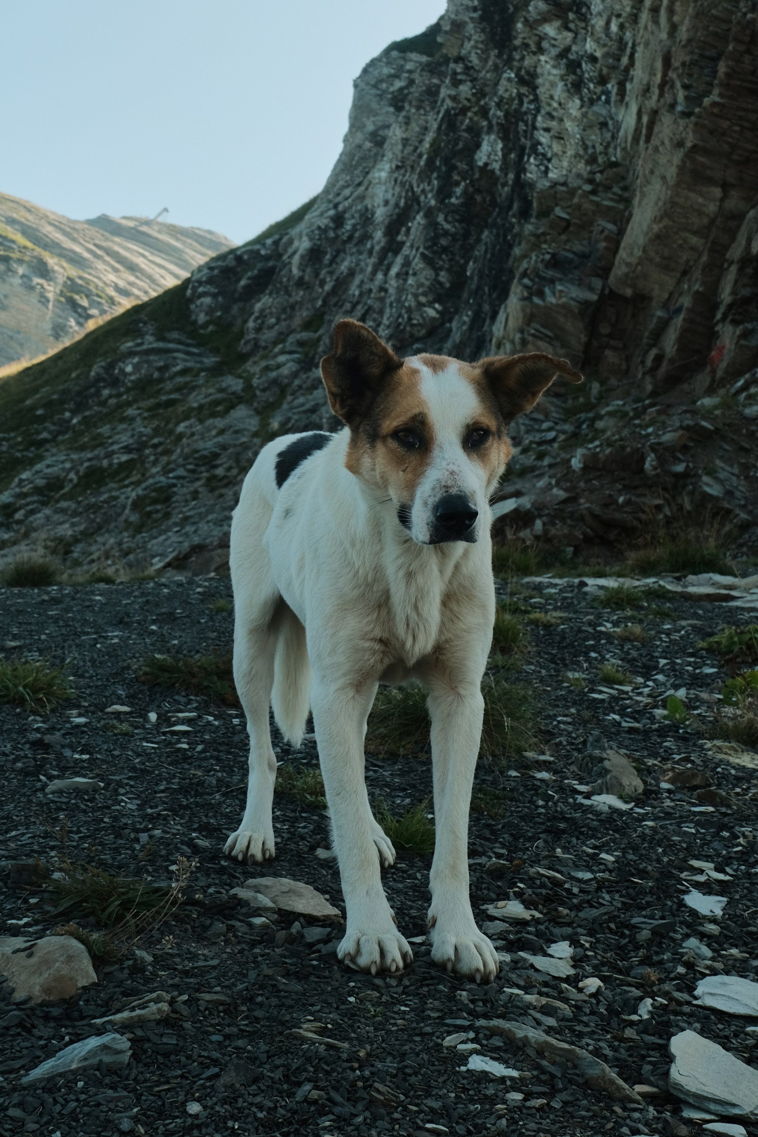 Krasnaya Polyana. Creative travel photographer — Berg Daria