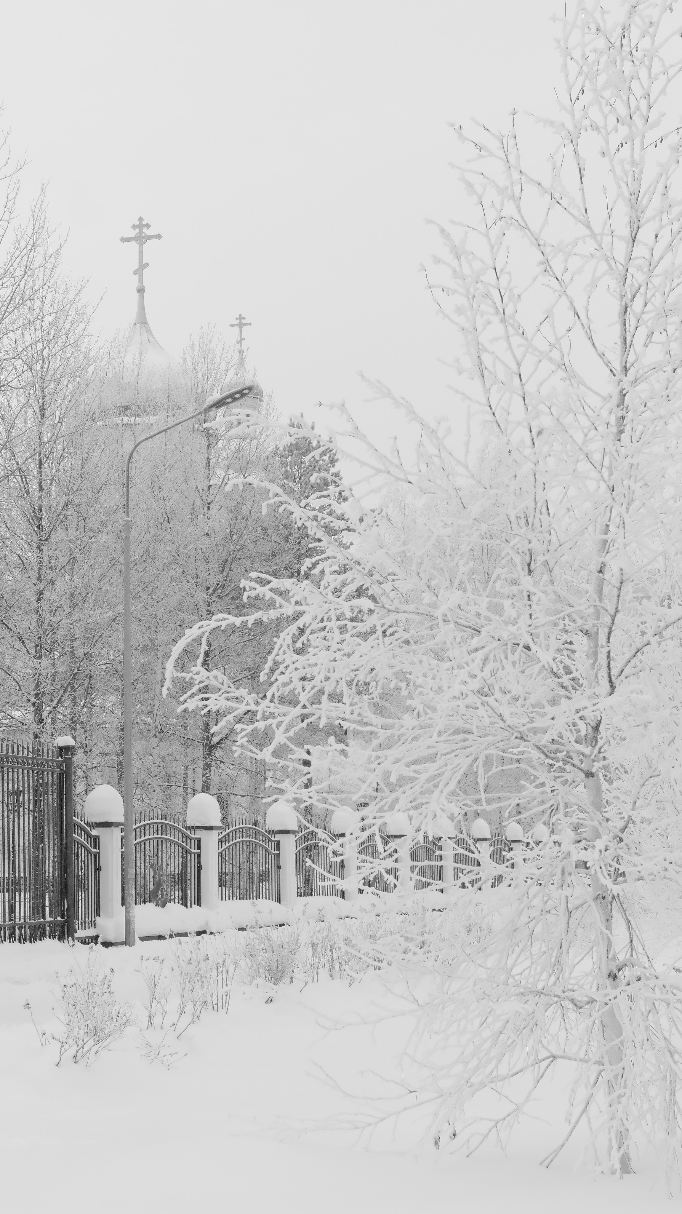 Пейзажи. Репортажный и семейный фотограф — Шелихов Сергей
