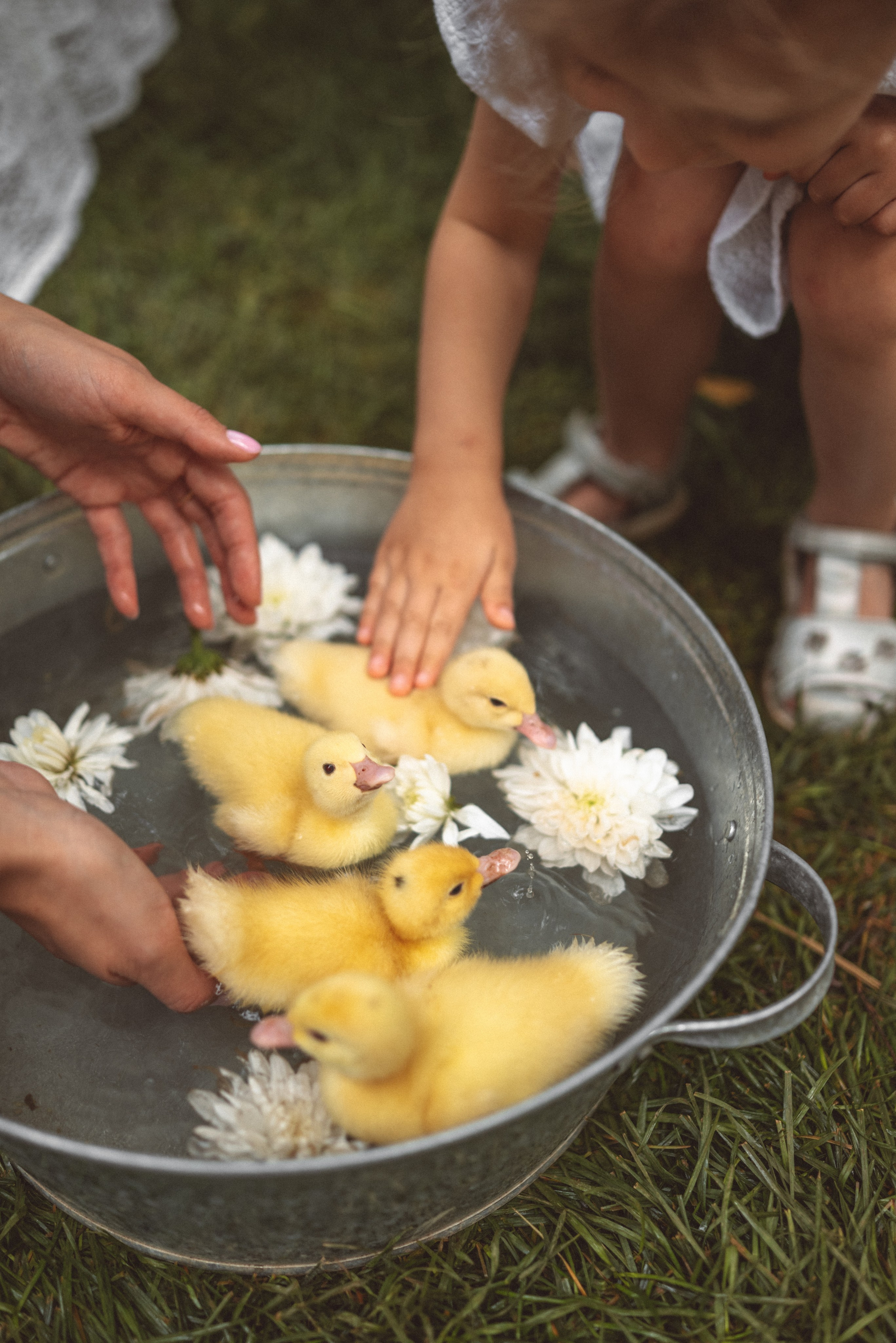 Утиная история. Семейный и детский фотограф в Москве Князева Диана