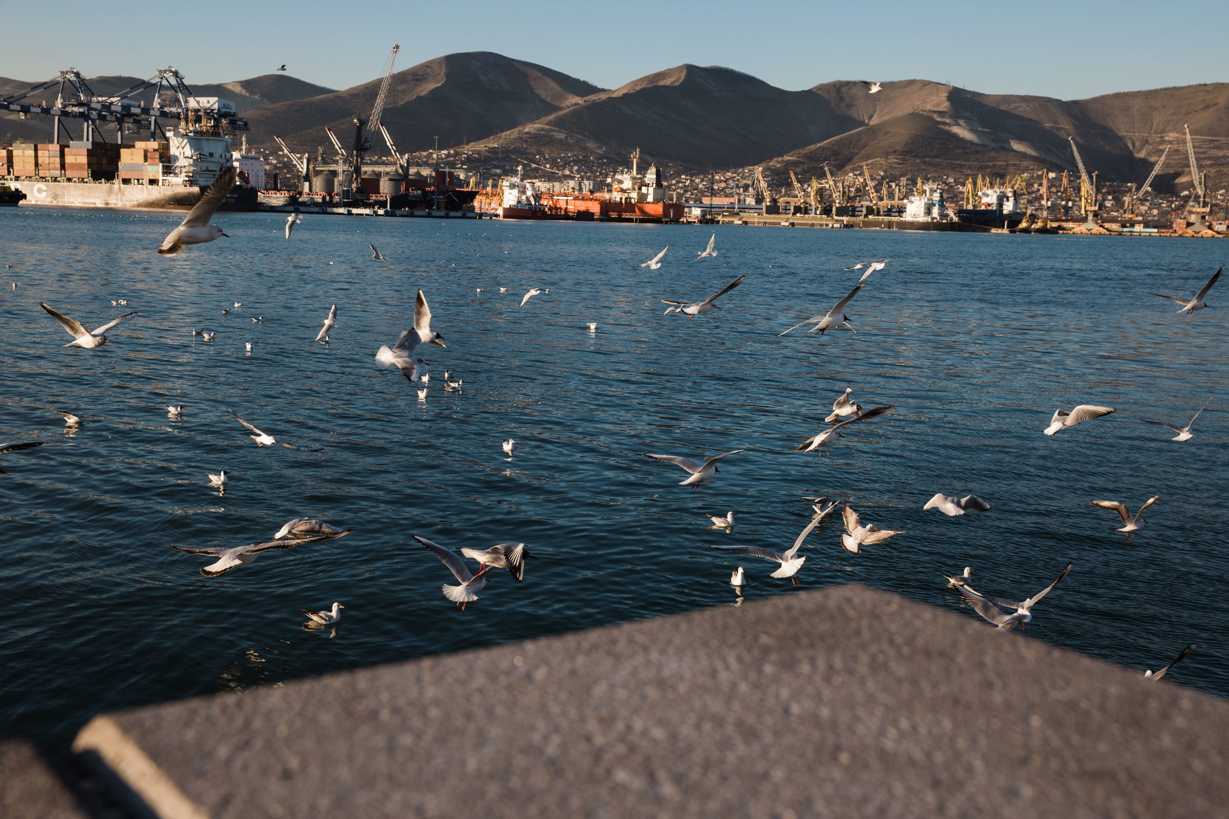 Лена. Фотограф Алутера Ирина