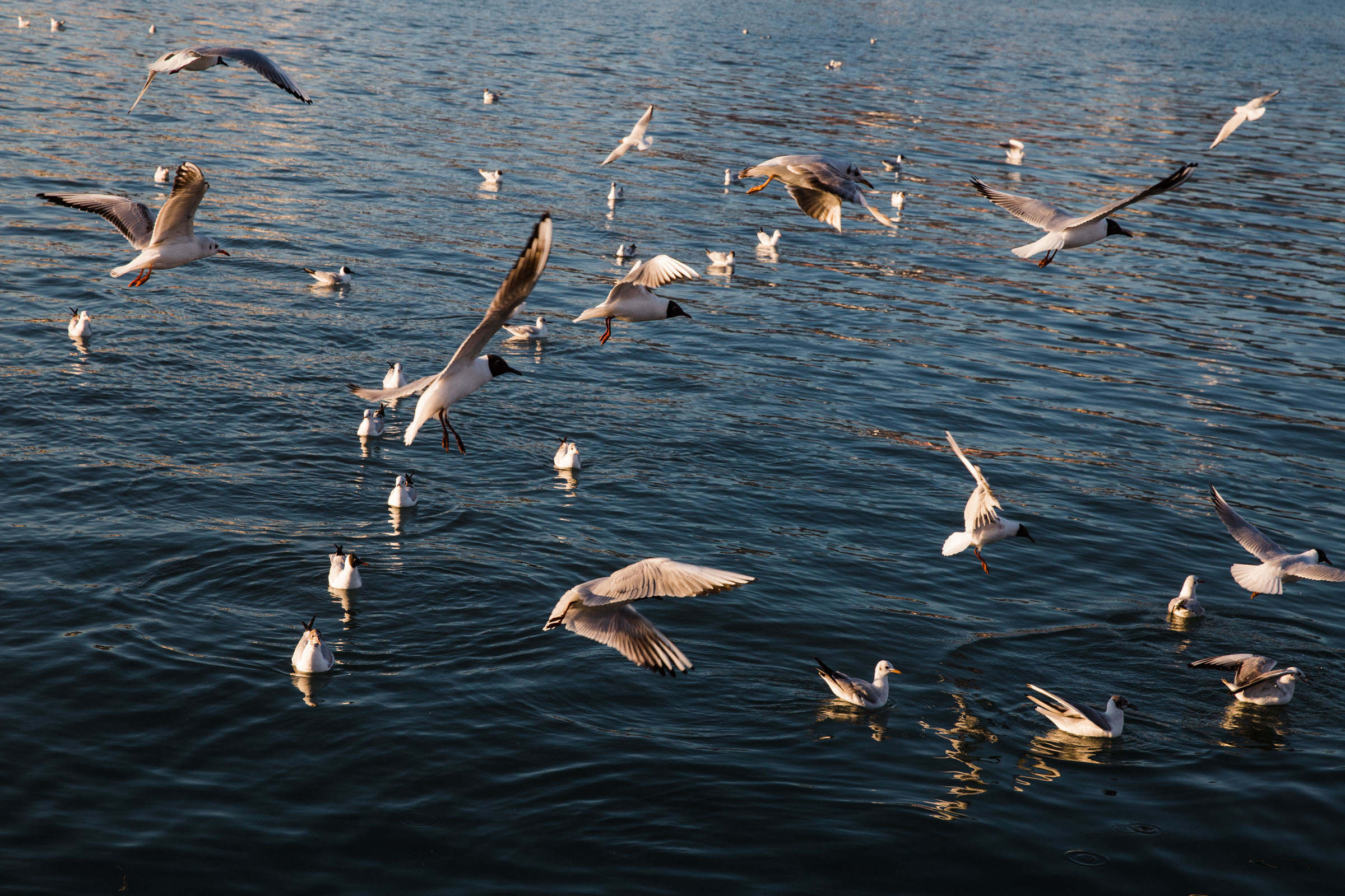 Лена. Фотограф Алутера Ирина