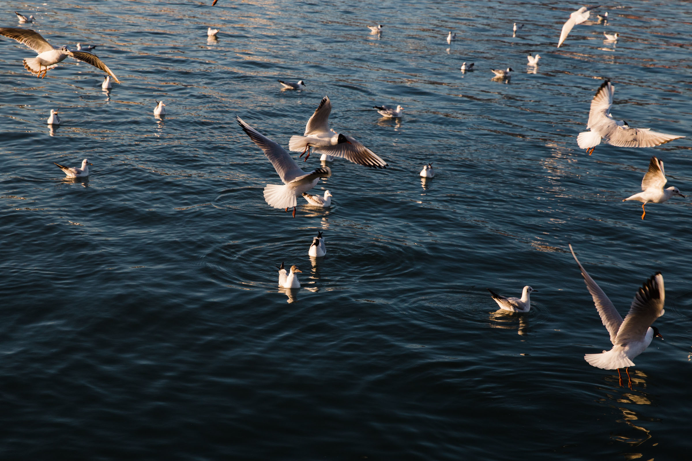 Лена. Фотограф Алутера Ирина