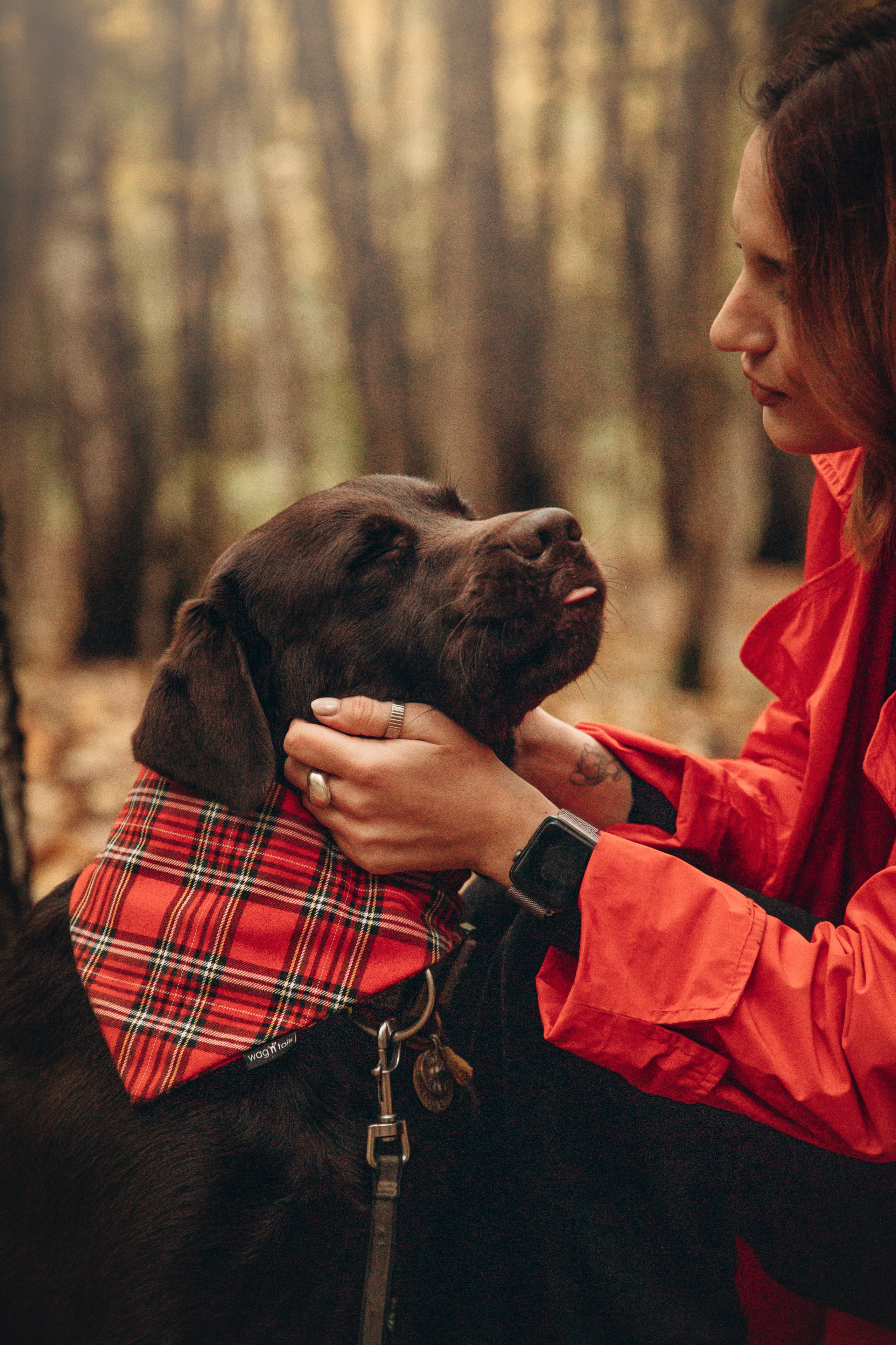 Арина и Сэмми. Фотограф — Анималист | Санкт-Петербург