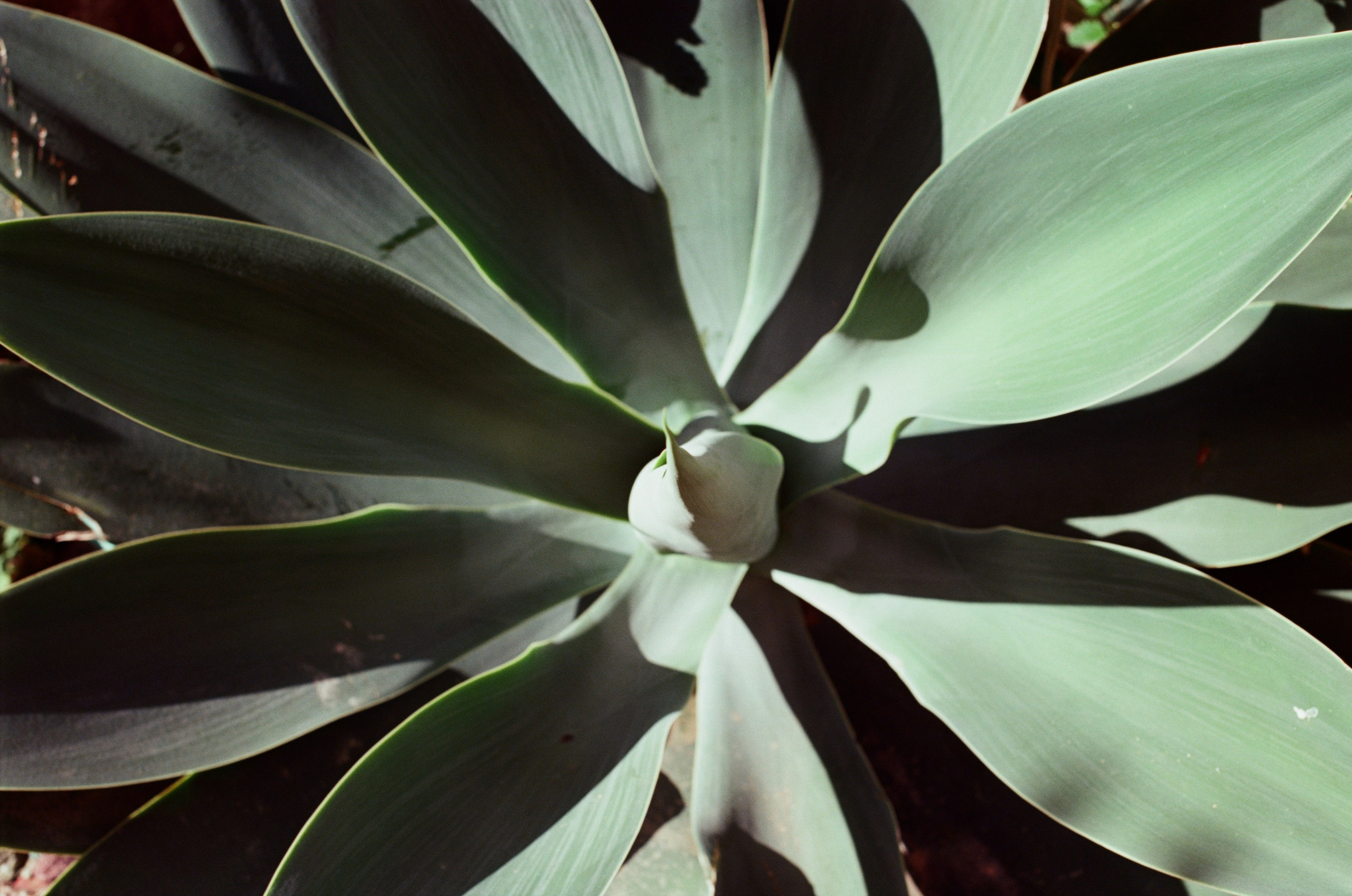 Spanish sahara // spain, pozo de los frailes. EVER EXPOSED