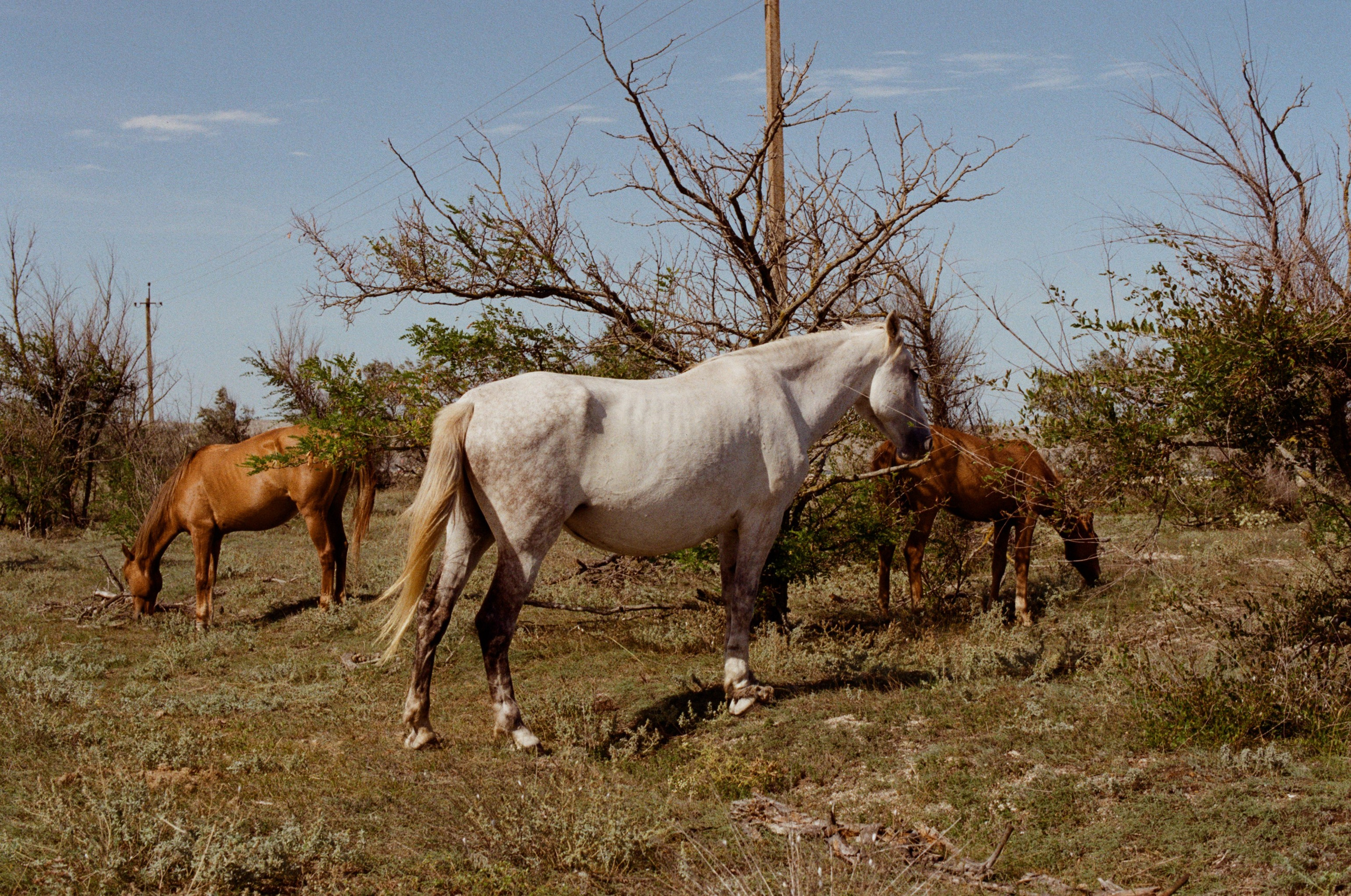 Lovesong // ukraine, crimea II. EVER EXPOSED
