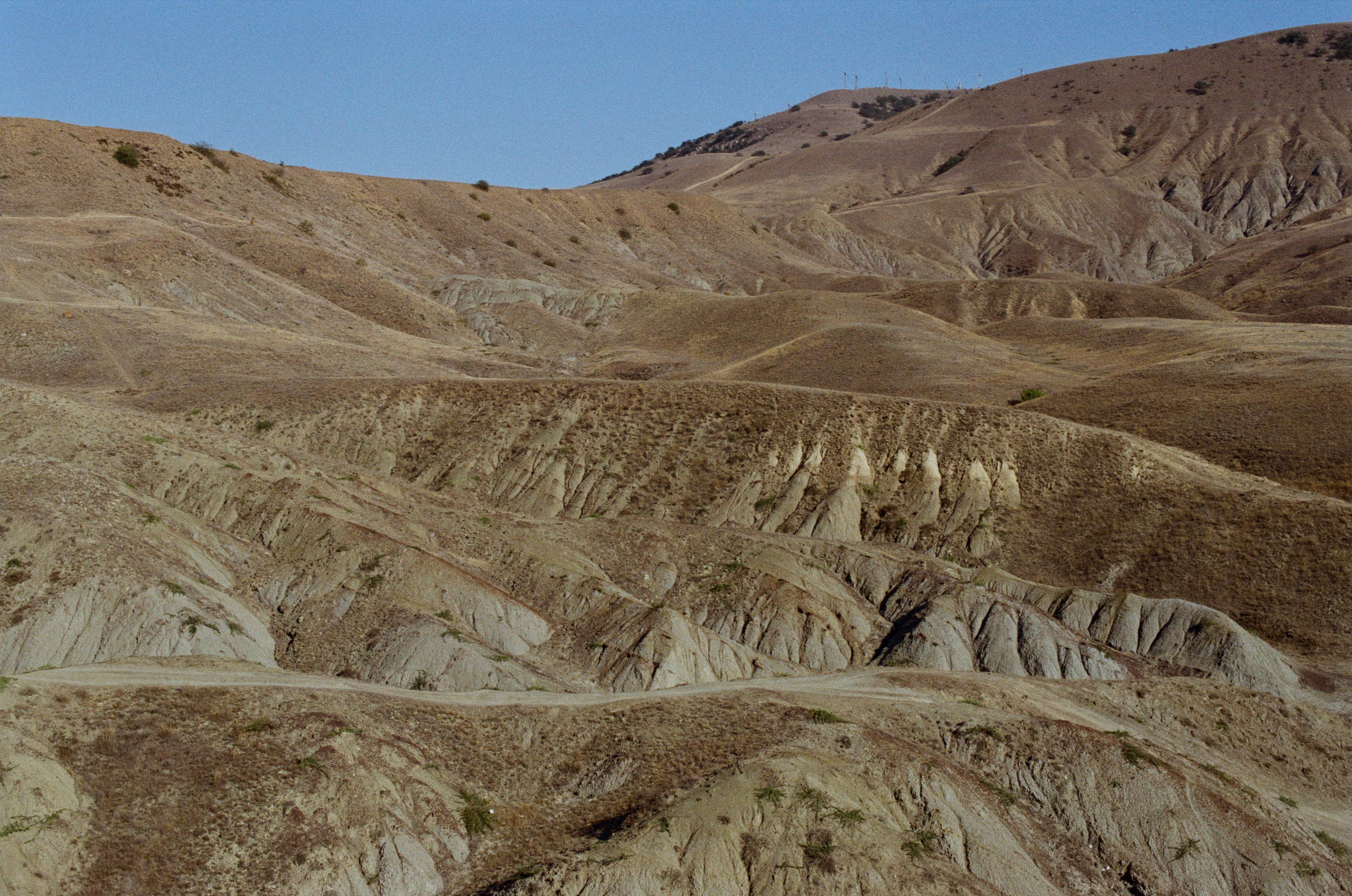 Lovesong // ukraine, crimea II. EVER EXPOSED