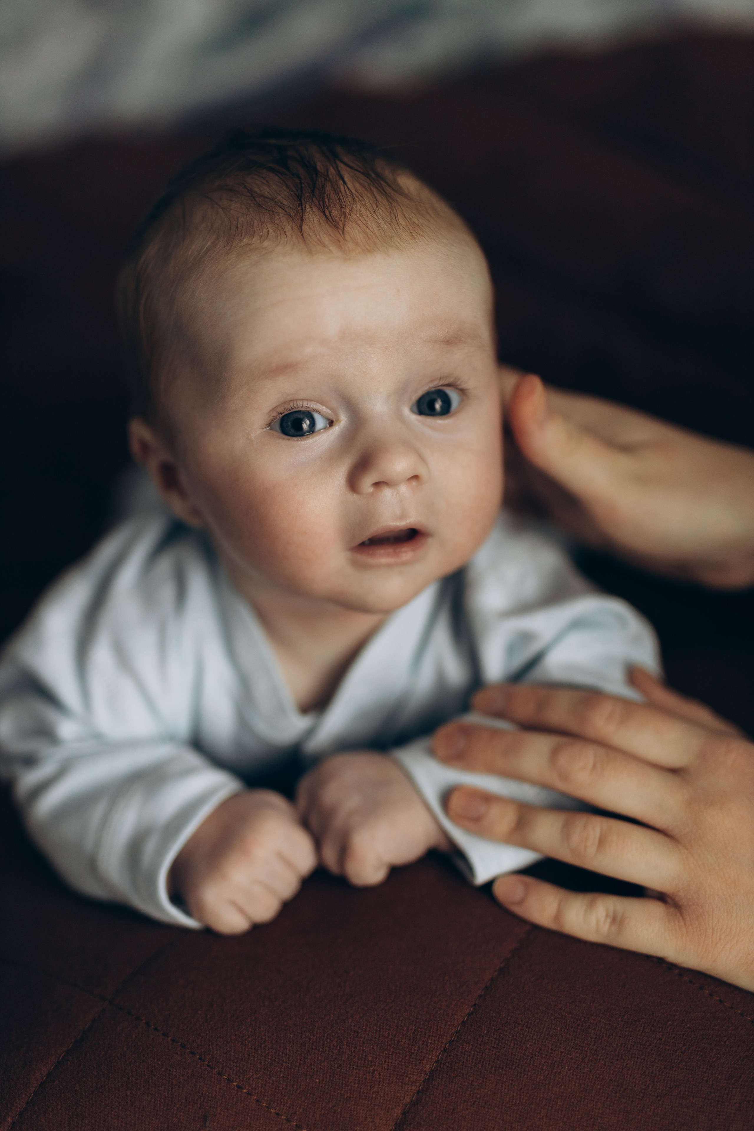 Фотограф для семейной съемки | Екатерина | Портфолио, цены, идеи. Фотограф уникального направления ньюборн в Москве Екатерина Буценина