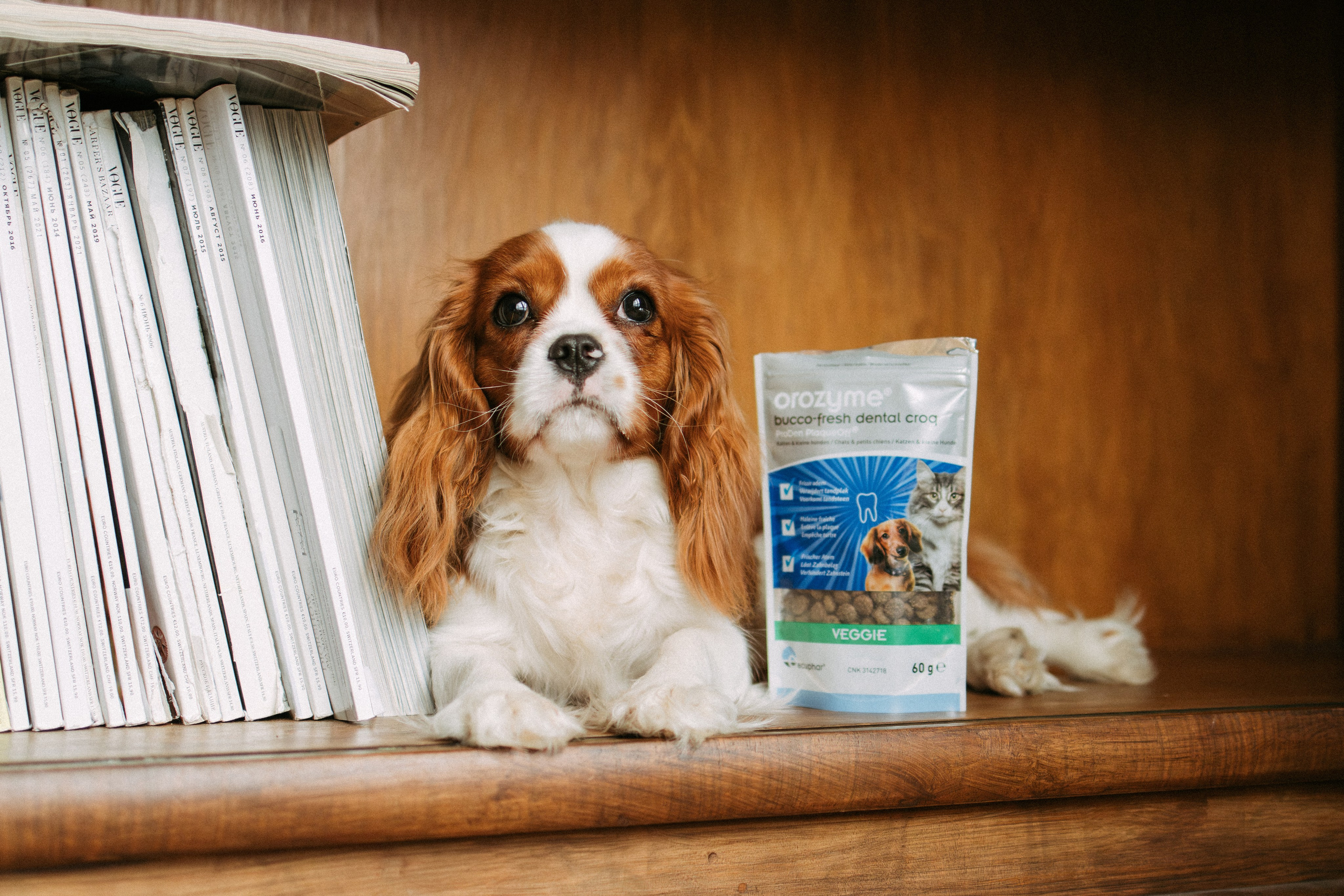 Orozyme&Emmiepet. Фотораф — анималист Мария Шистка