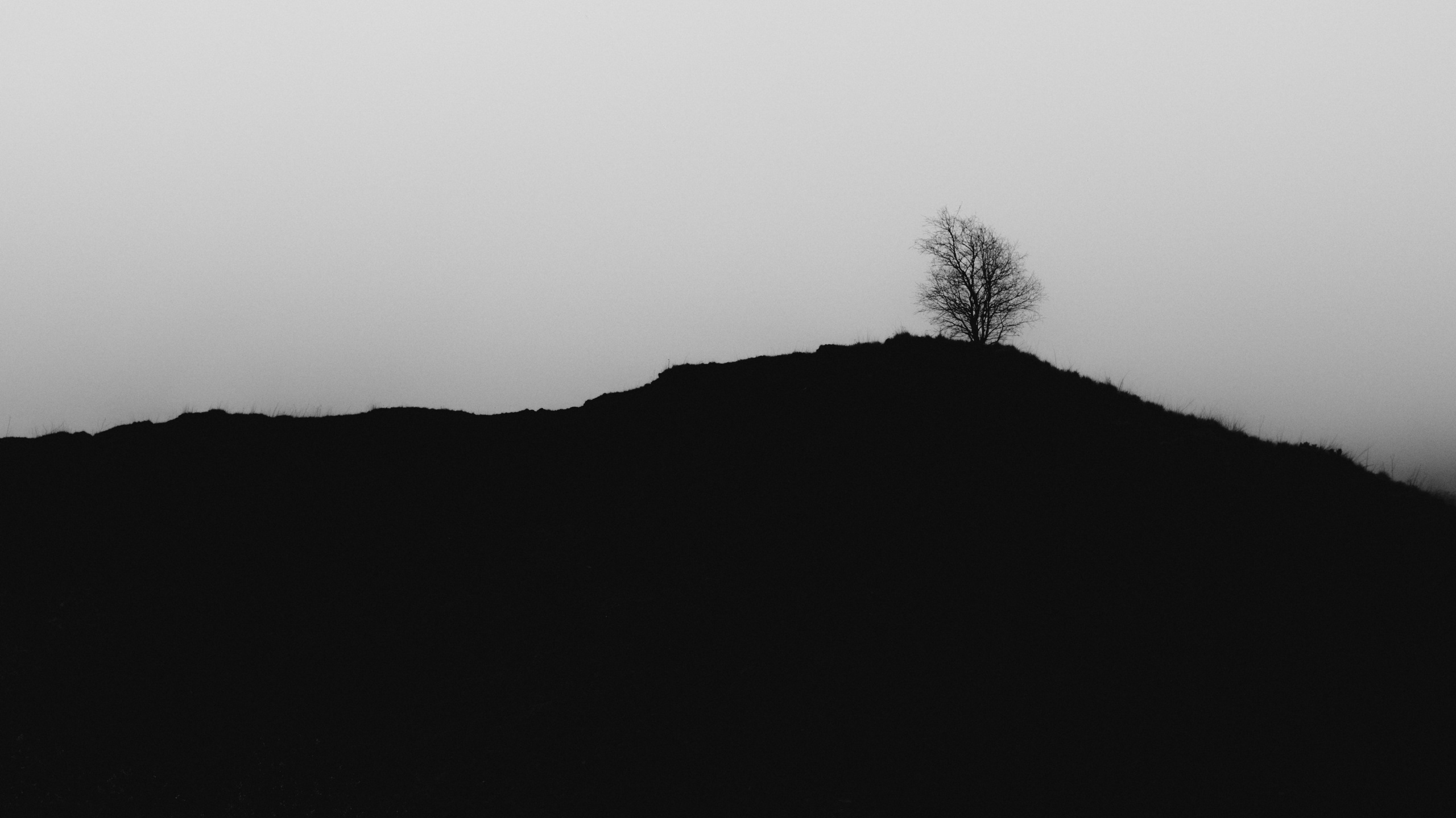 EXHIBITION. Репортажный и интерьерный фотограф, фотохудожник