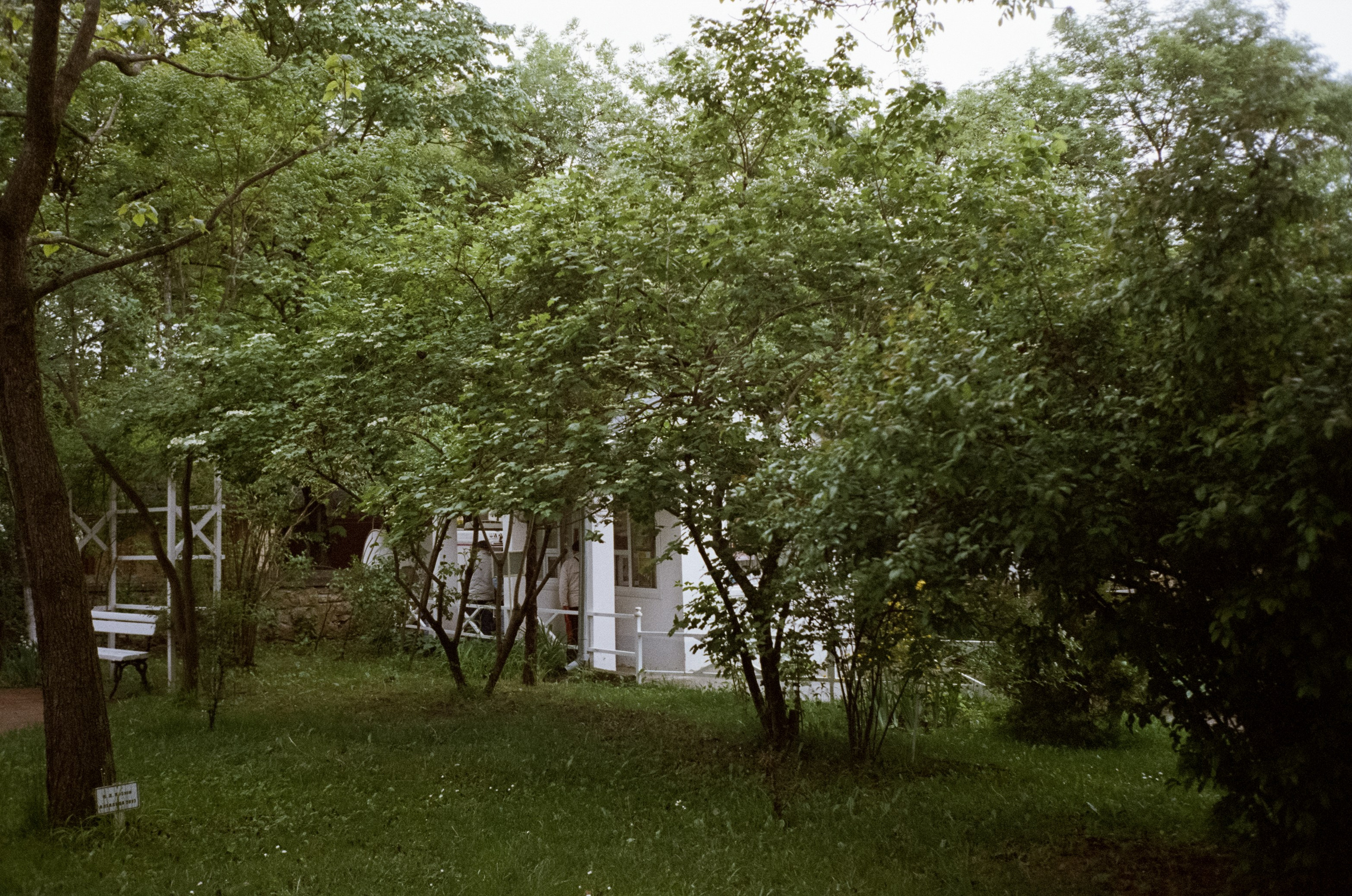 Музей-усадьба художника Николая Ярошенко в дождливый день. Фотограф-документалист Мария Осокина