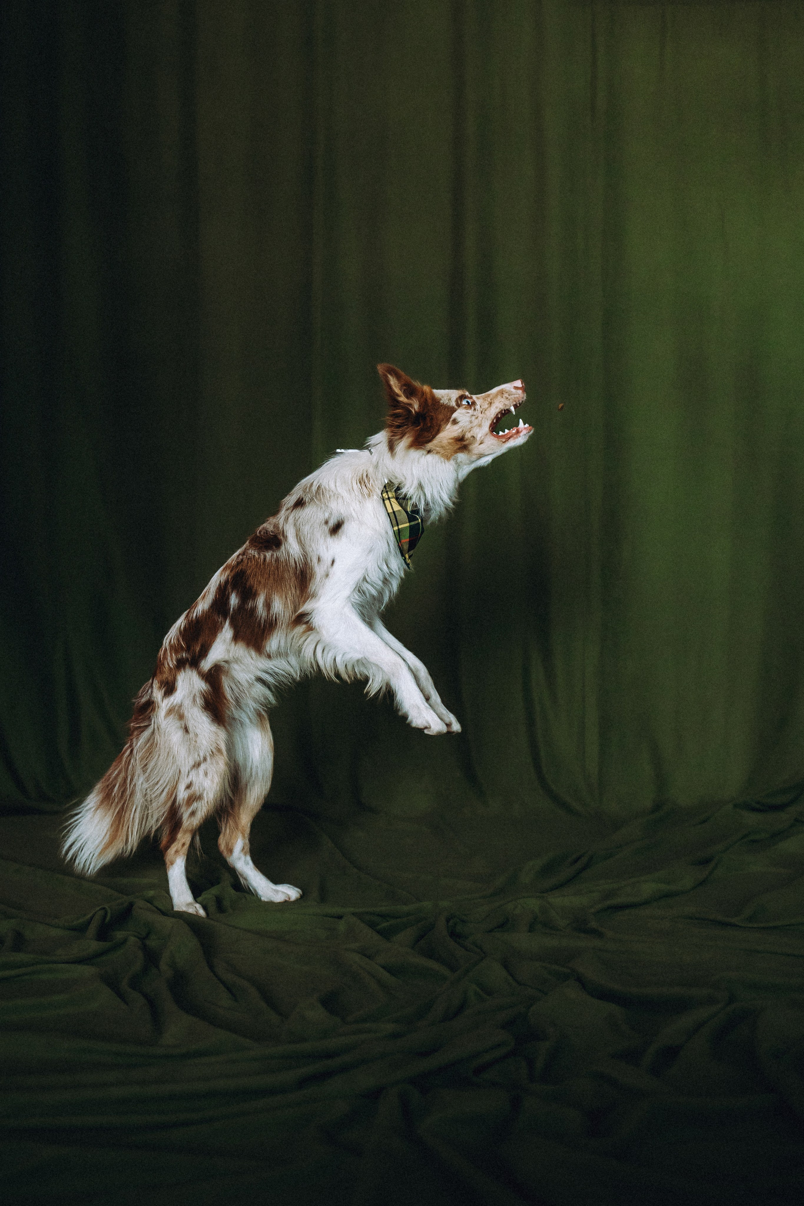 День рождения Айко