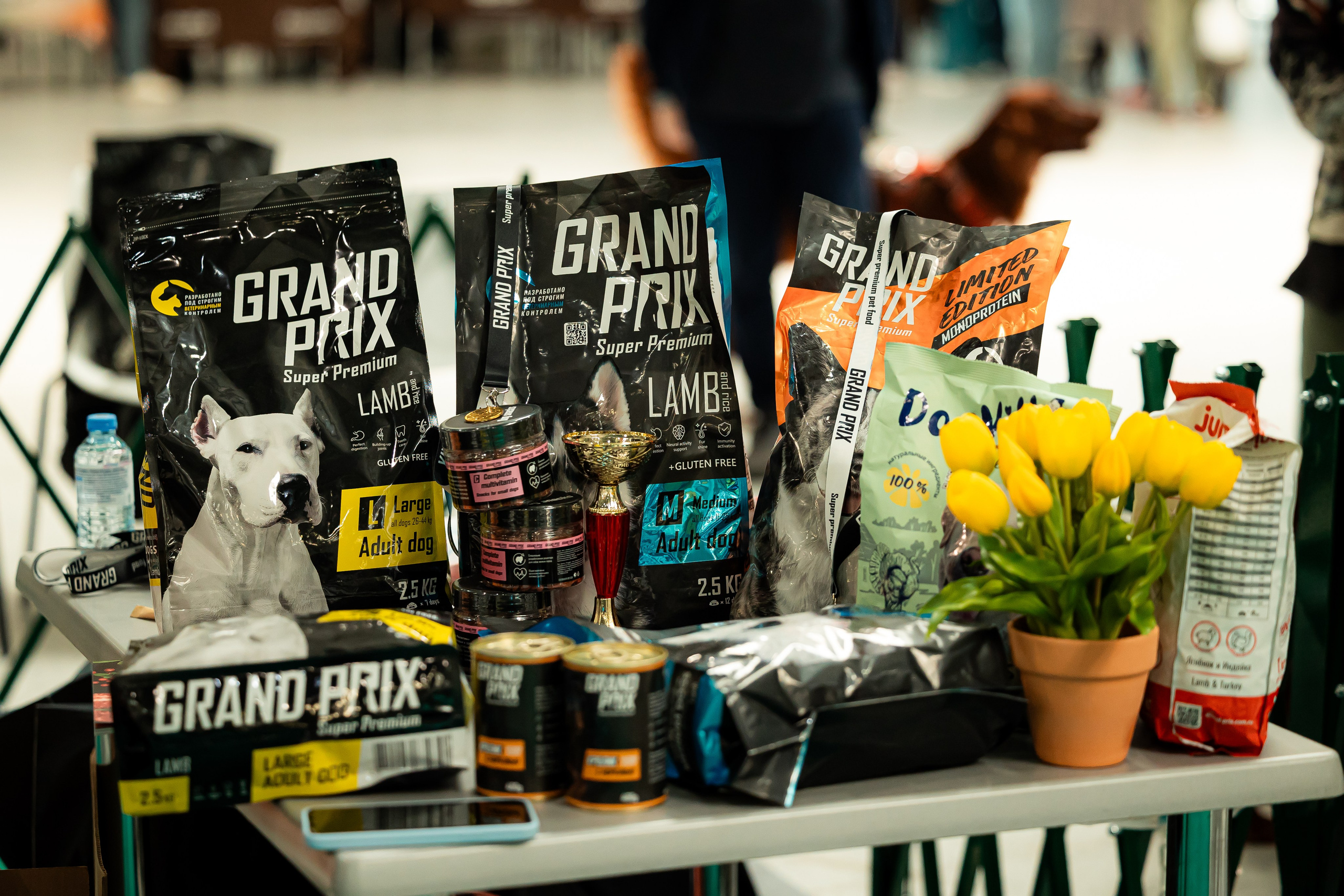 Выставка сеттеров 19.05.24