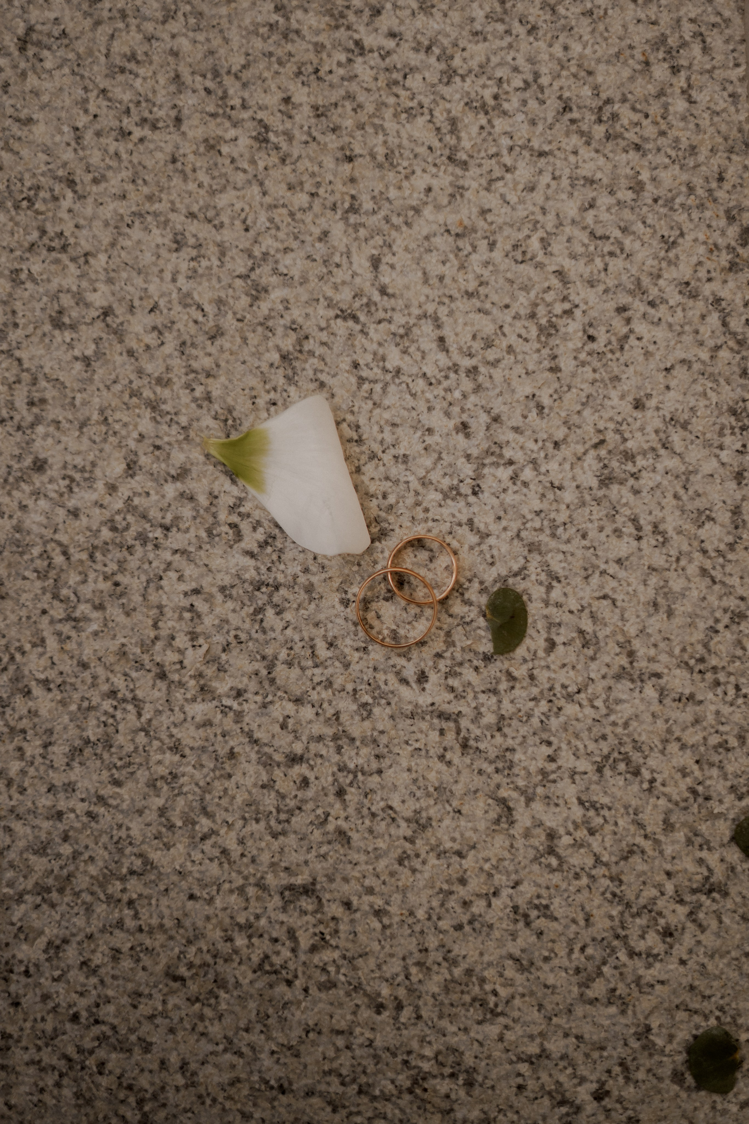 Артур и Римма. Фотограф Валерия Крахмалева