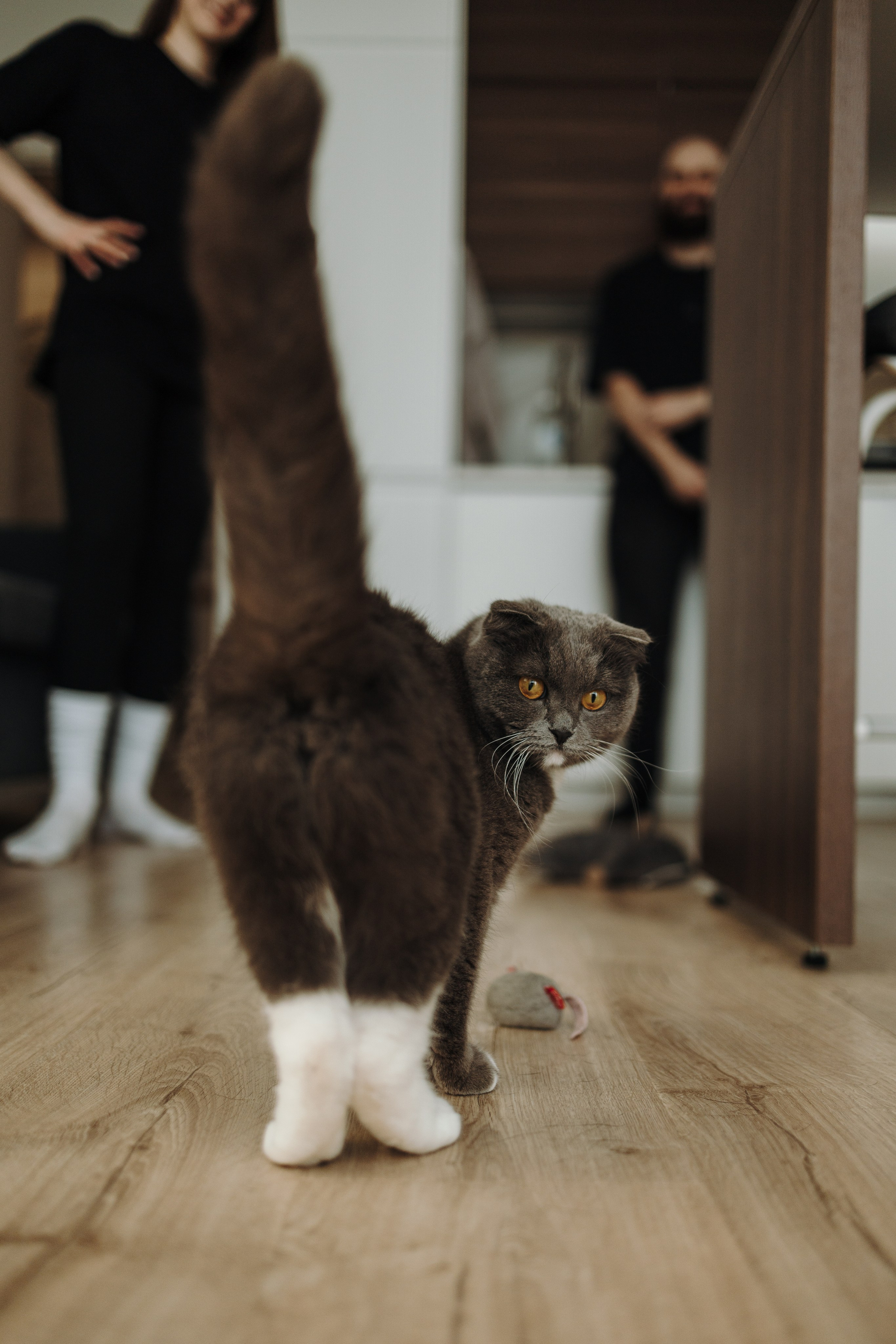 Таня и ее семья. Фотограф — Анималист | Санкт-Петербург