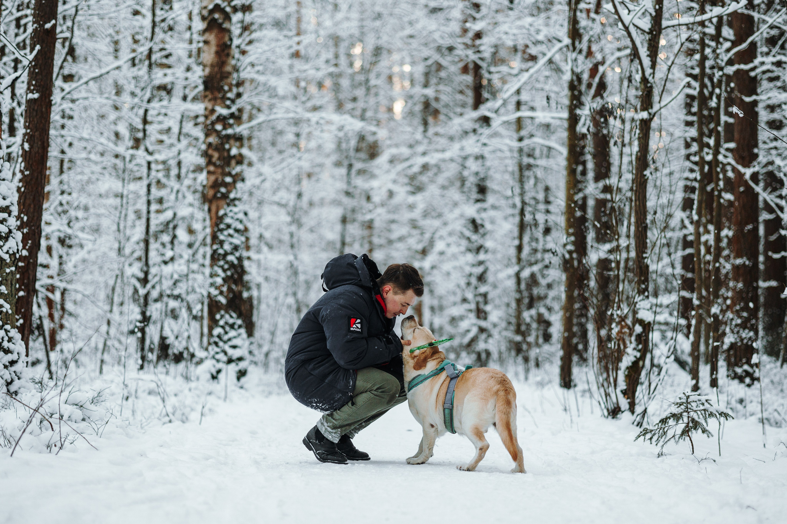 Ребята и их хвостатая семейка. Фотограф — Анималист | Санкт-Петербург