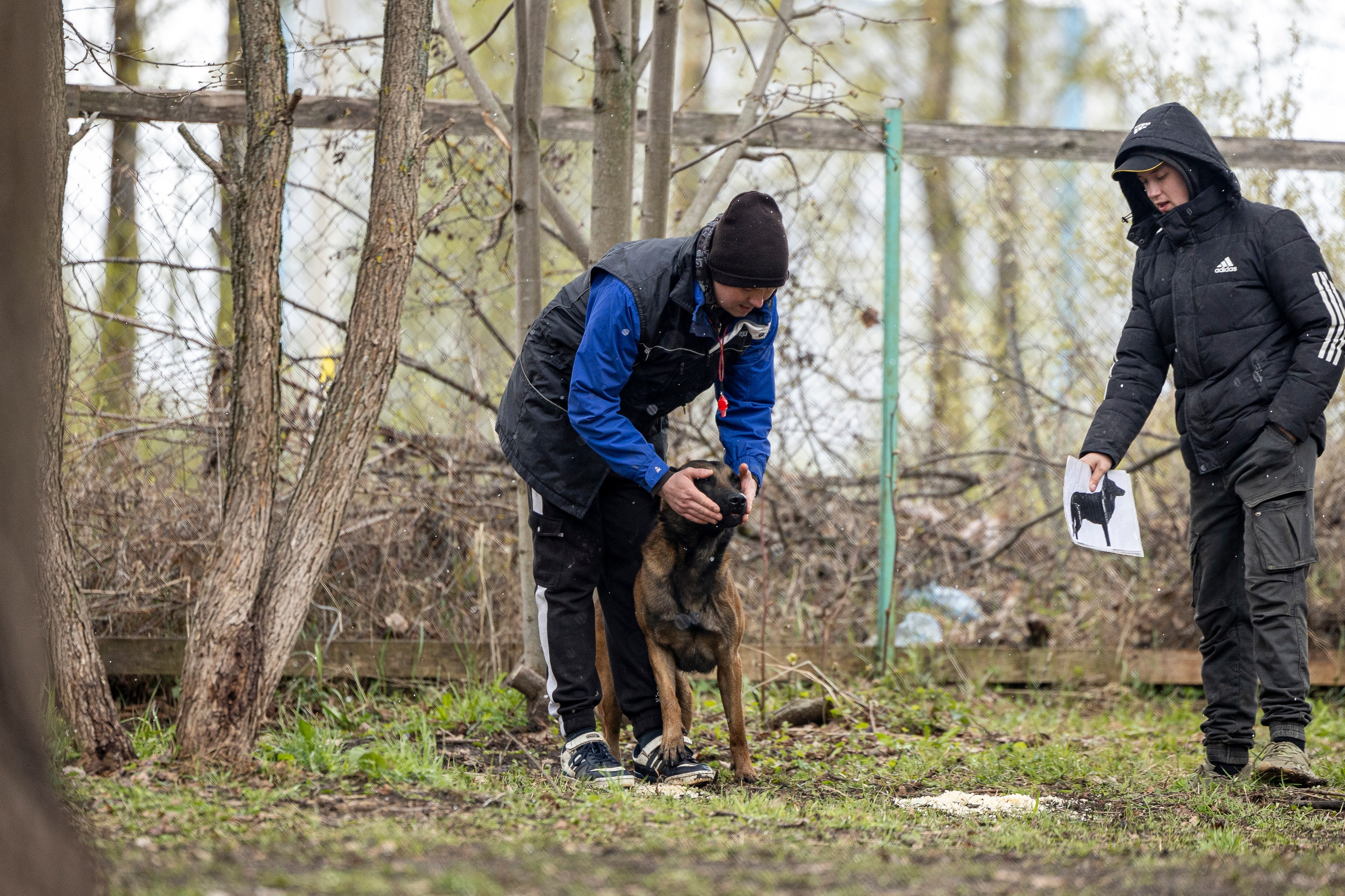 Квалификационные состязания по мондьорингу г. Вологда 11.05.24. Фотограф-анималист Анна Маринич