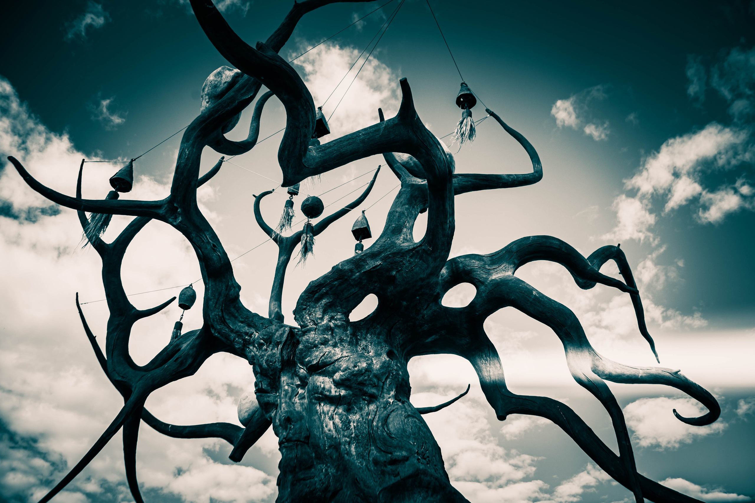 Портфолио. Dubrovina photo