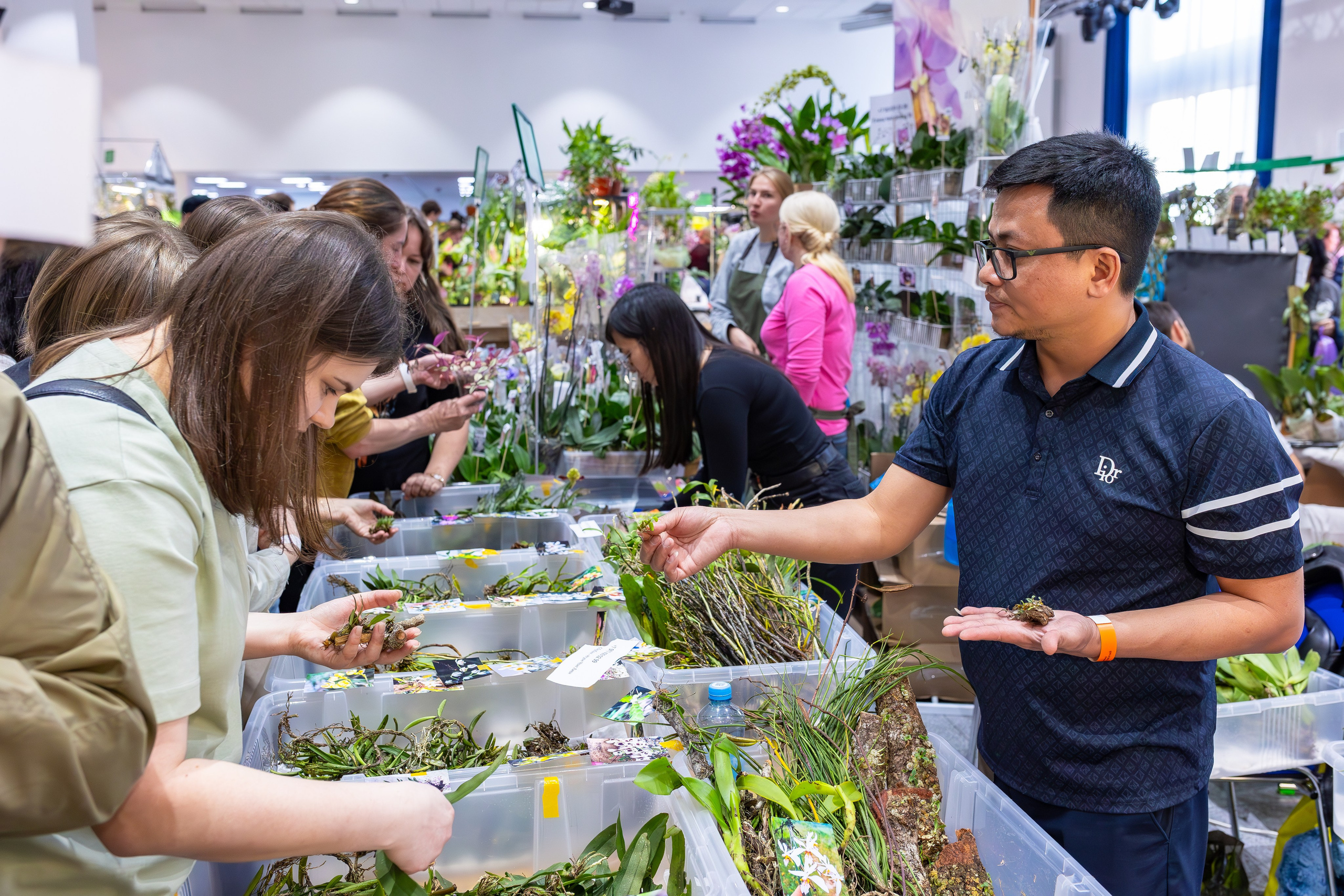 Орхидиум сентябрь 2025. Александра Куликова фотограф, Москва