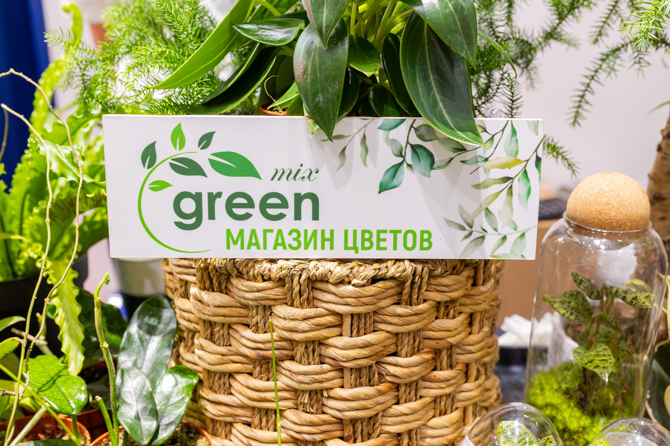 Монстериум 11–12 октября. Александра Куликова фотограф, Москва