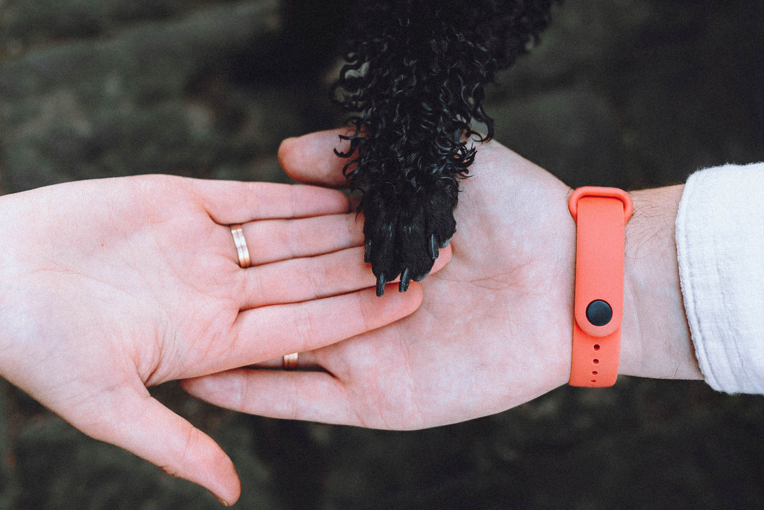 Игнат, Даша и Бэтти