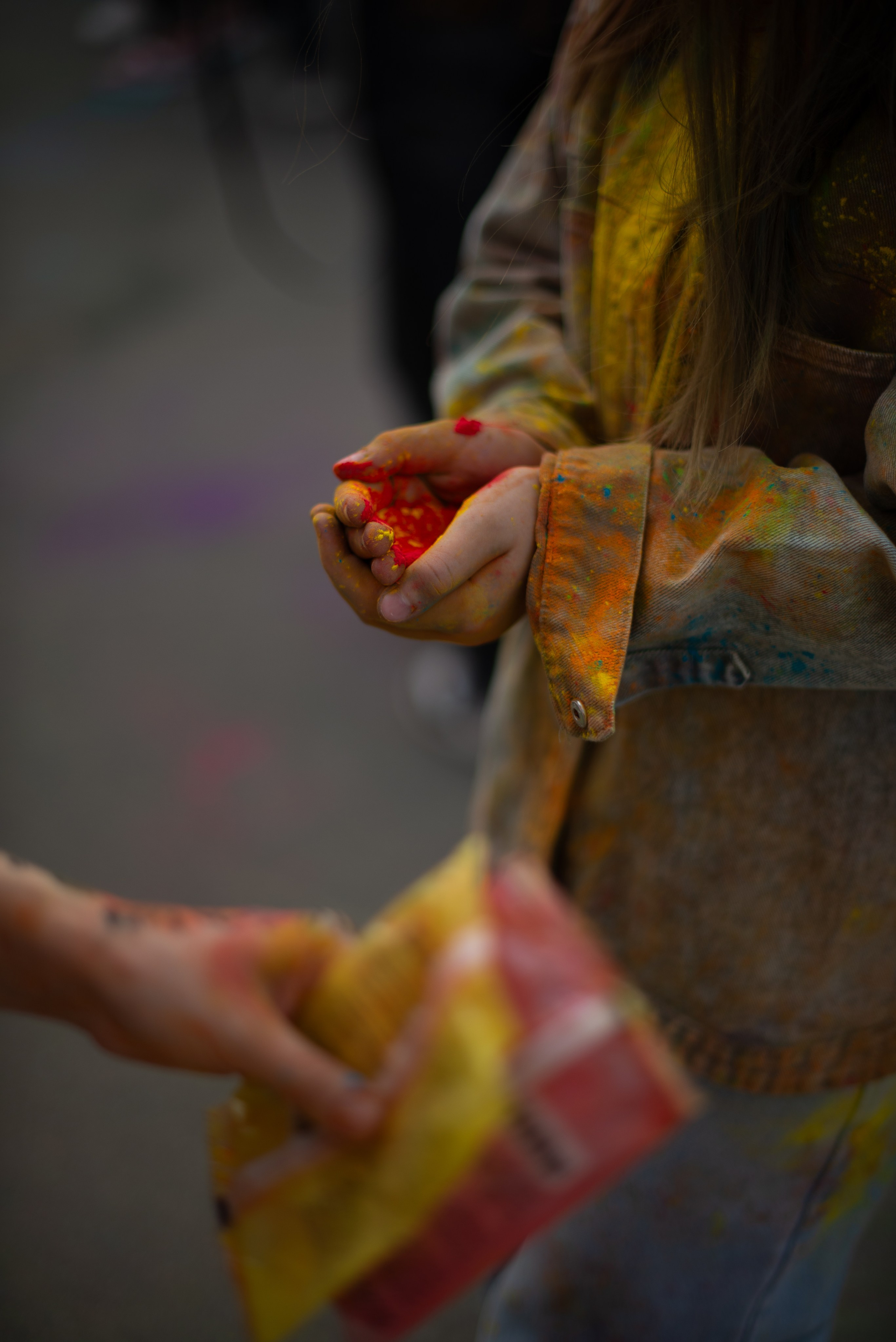 День Индии юбилейный 10й фестиваль. Victoria Radjevna Репортажный Фотограф — Видеограф Москва • Санкт-Петербург