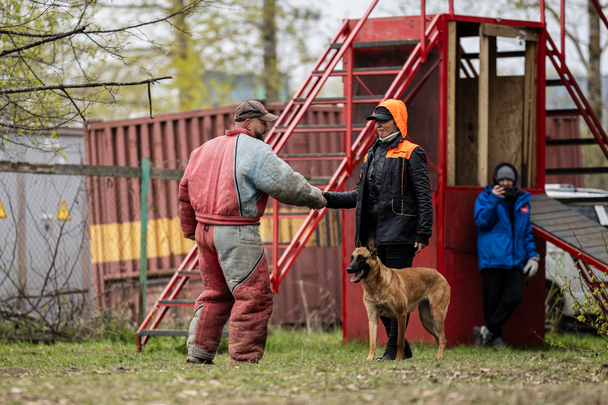 Квалификационные состязания по мондьорингу г. Вологда 11.05.24. Фотограф-анималист Анна Маринич