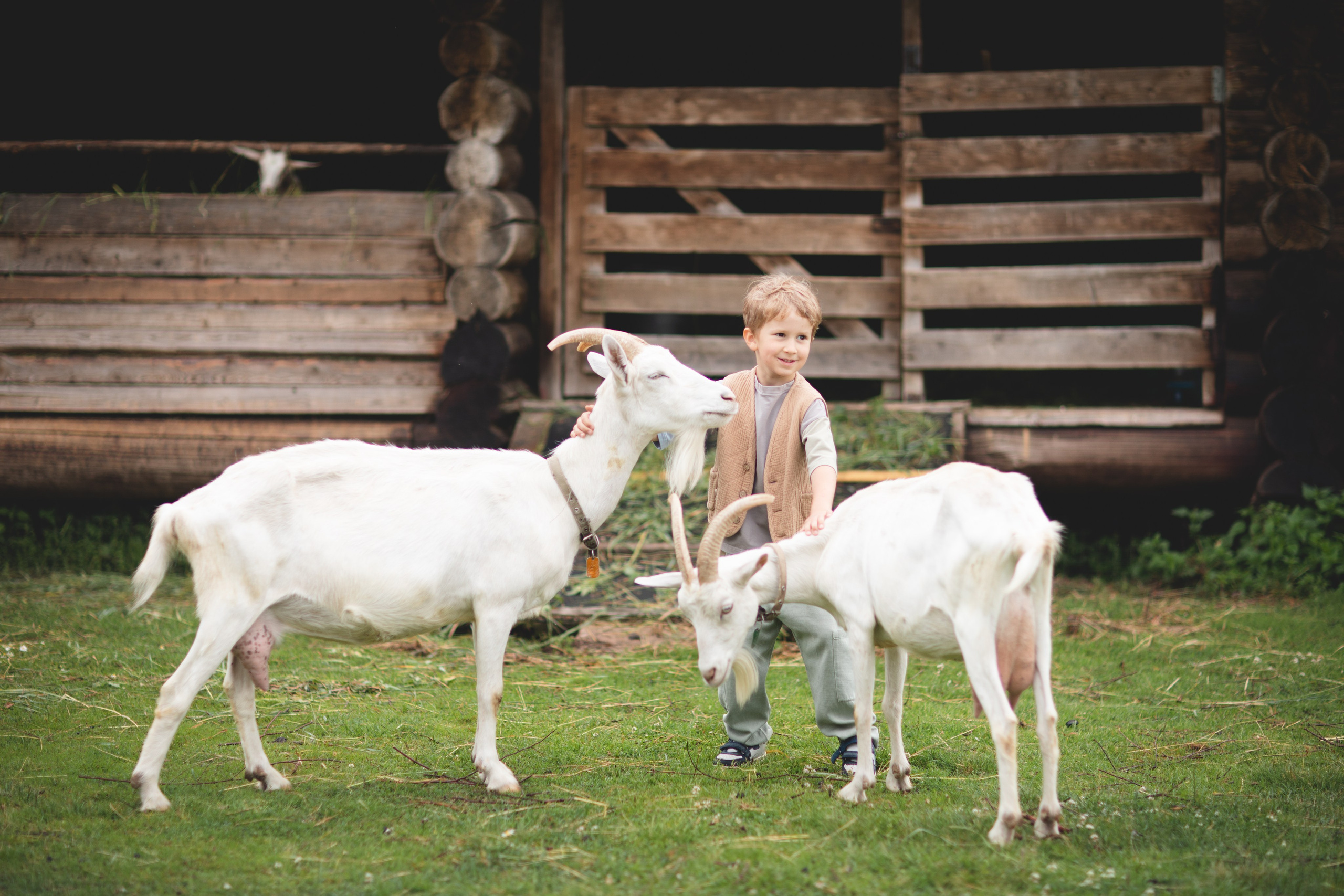 Фототуур «Край озёр» Лето. Семейный фотограф в Москве Анастасия Гурьянова