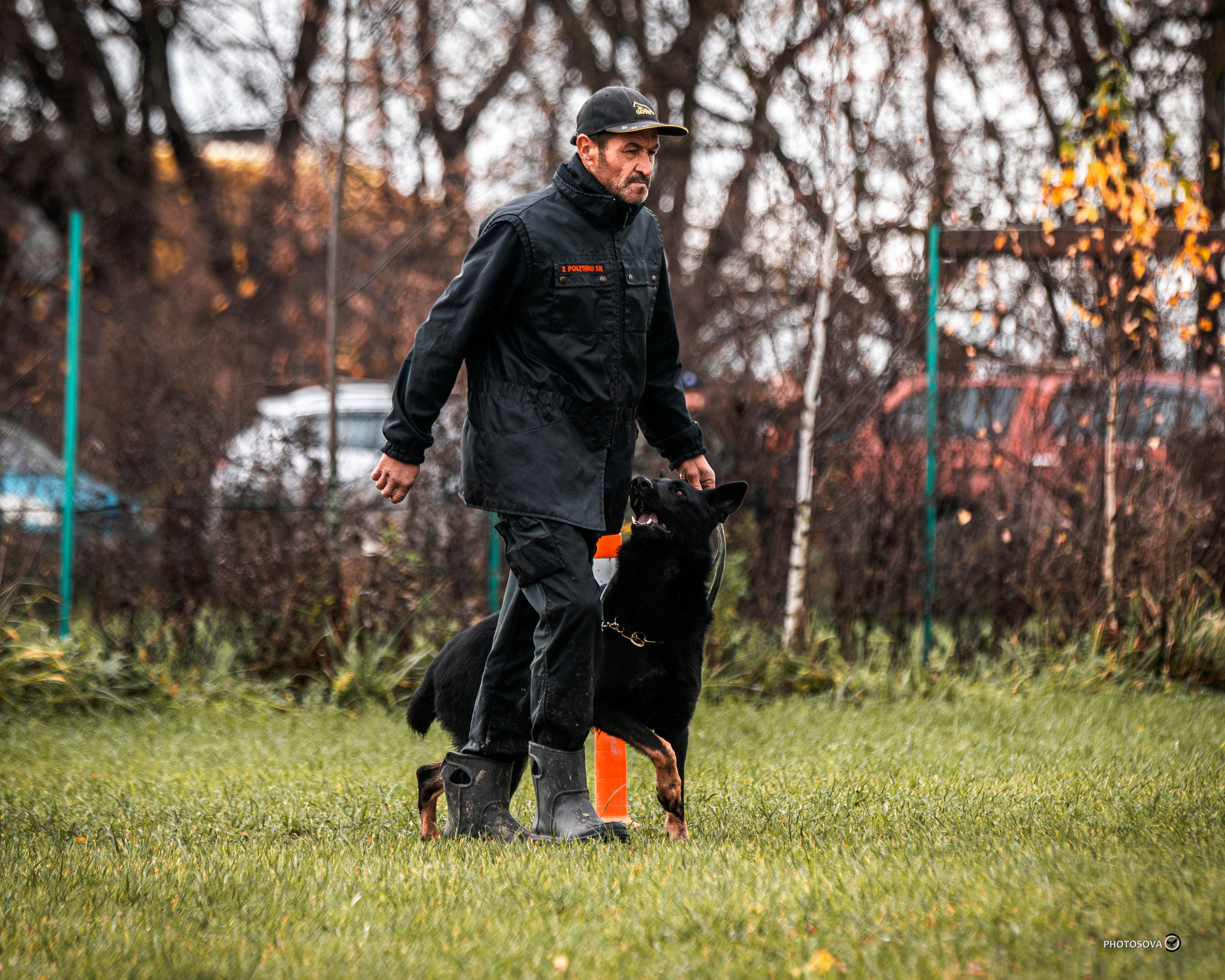 МЫ — КОМАНДА (соревнования) OKD, BH, IBGH, IGP. Фотограф-анималист, семейный фотограф в Москве и Подмосковье. Фотосъёмка кинологических дисциплин