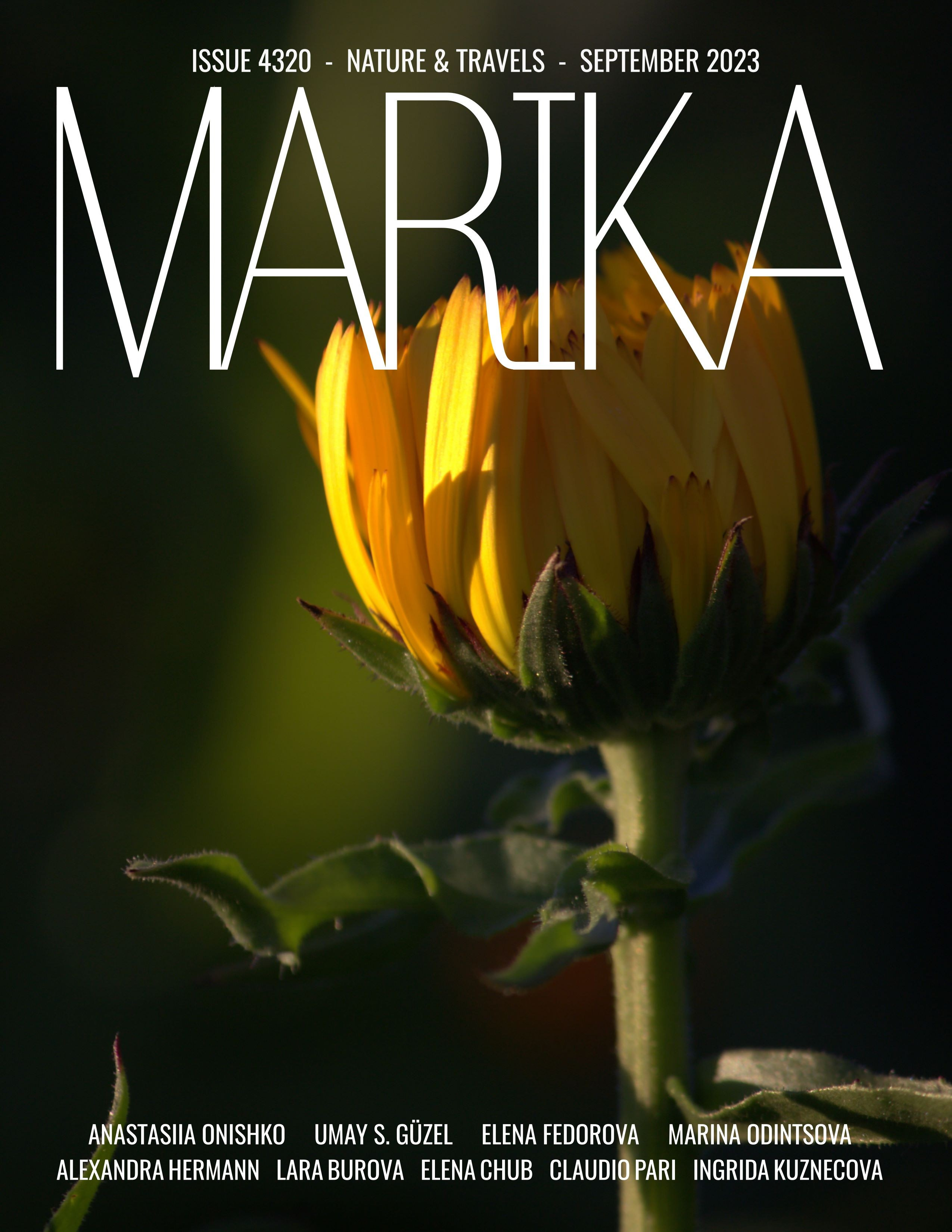 Публикации. Репортажный фотограф в Берлине Александра Герман