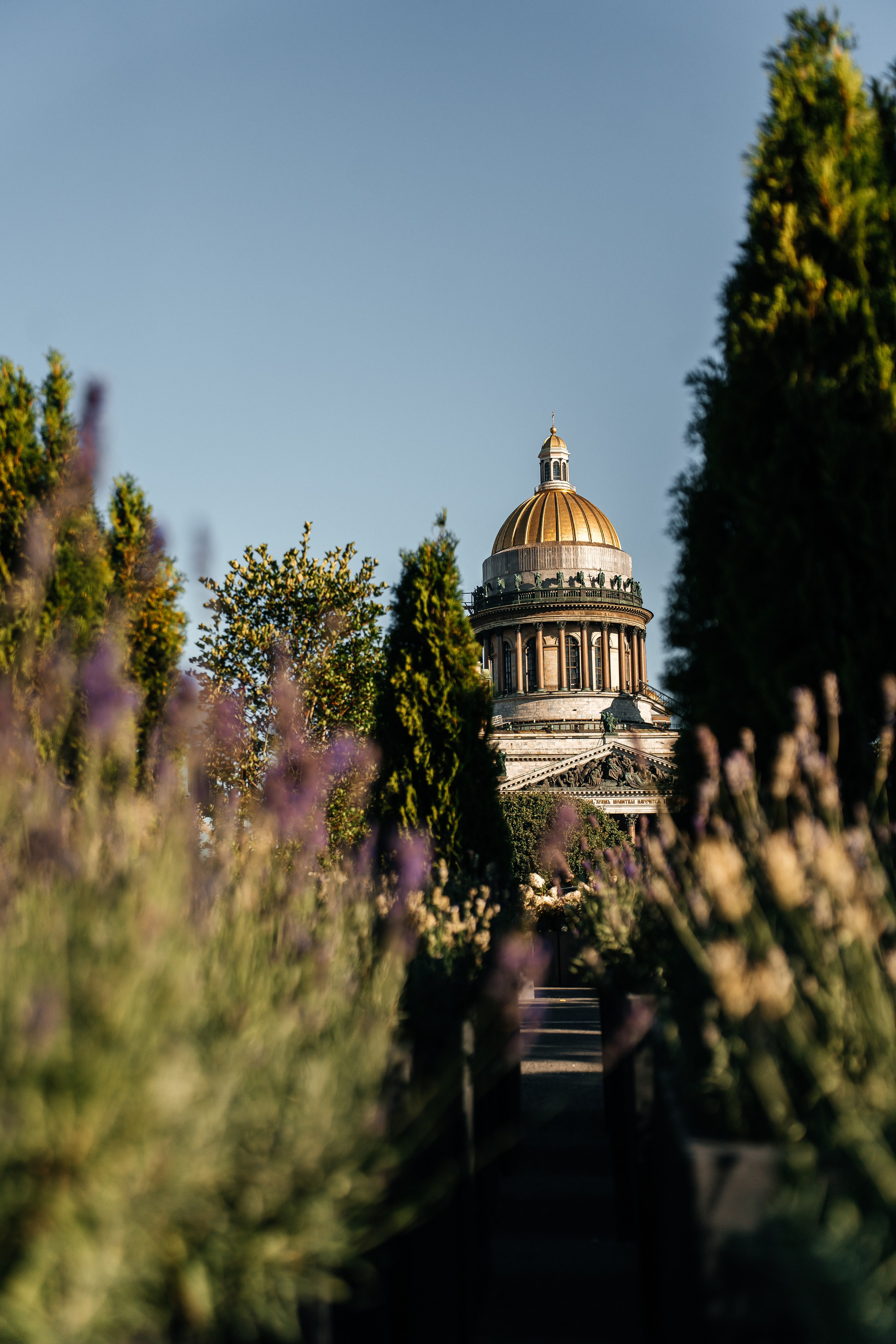 15.08.2025. Семейный фотограф в Санкт-Петербурге