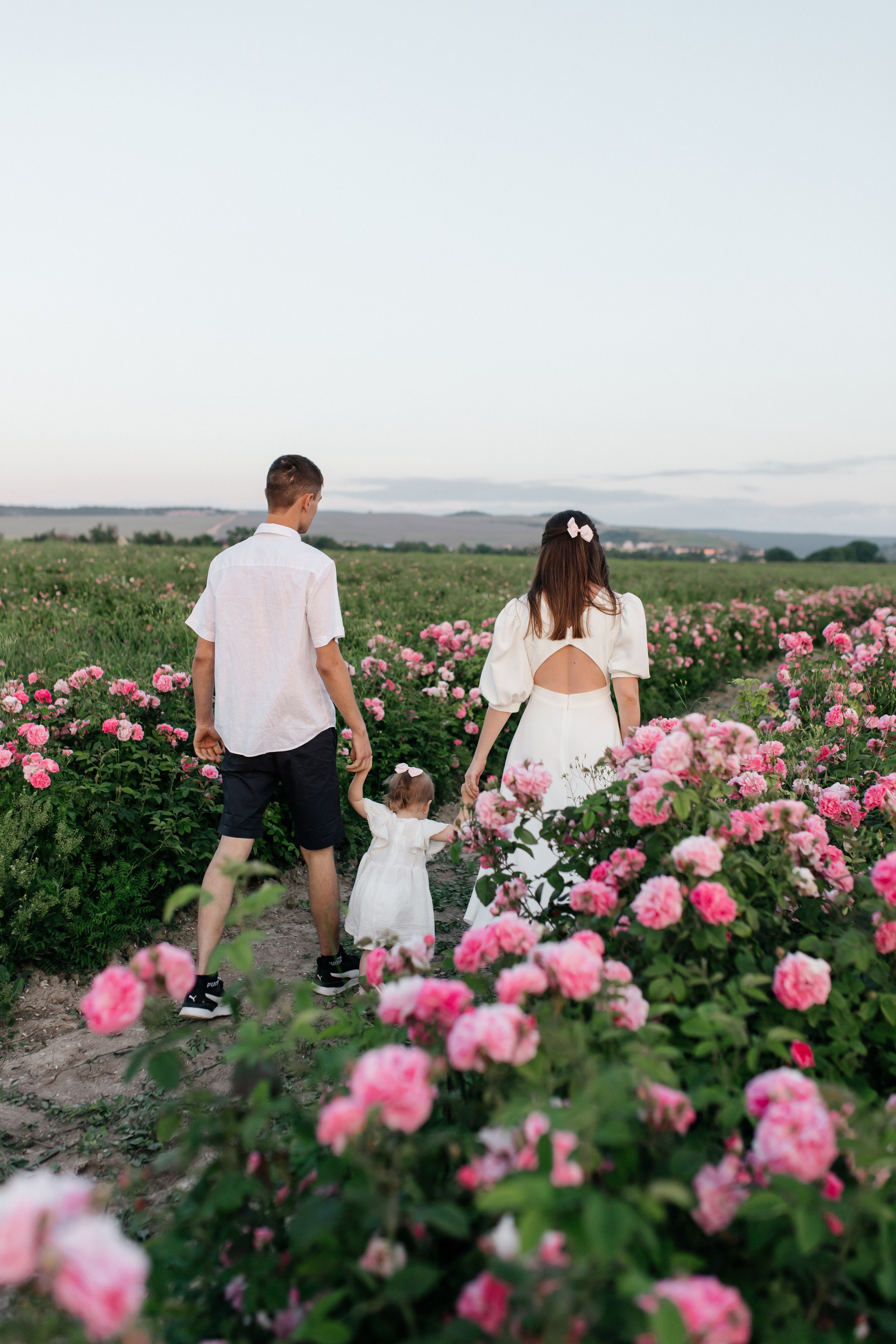 Rose. ФОТОГРАФ