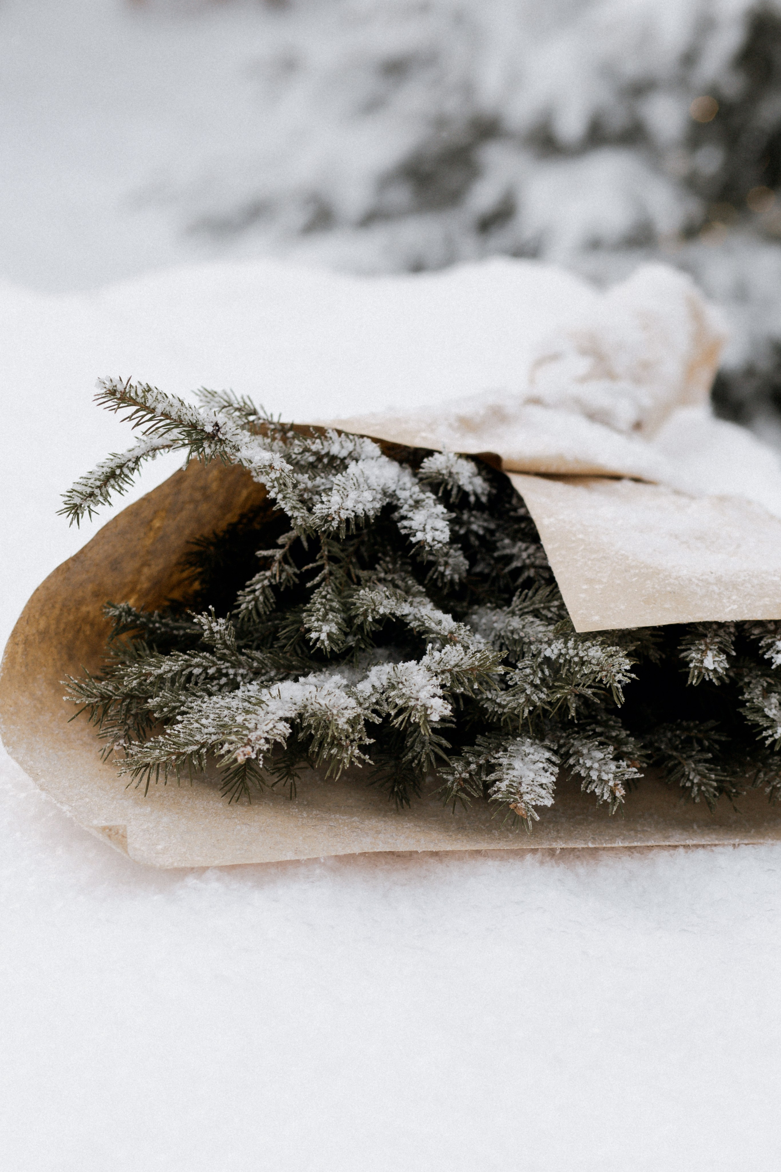 Семейная новогодняя съемка. Фотограф Юлия Герасимова Иркутск
