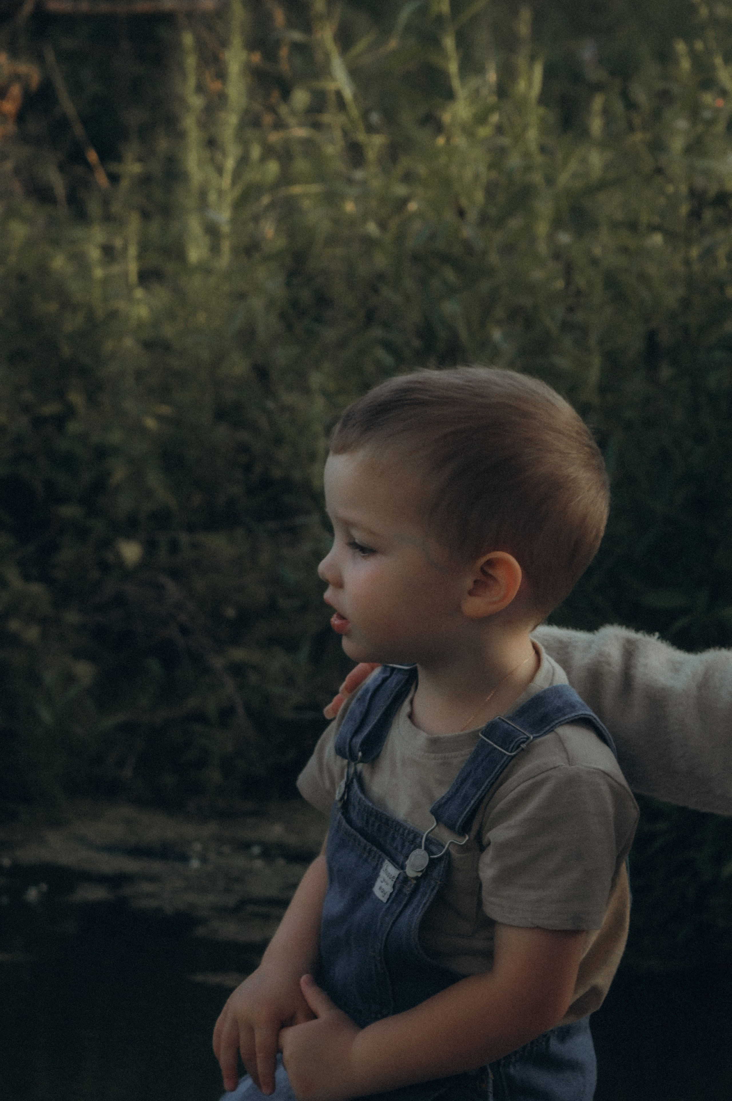 Нежность июля. Семейная фотосессия на природе. Юлия Левада Семейный и женский фотограф