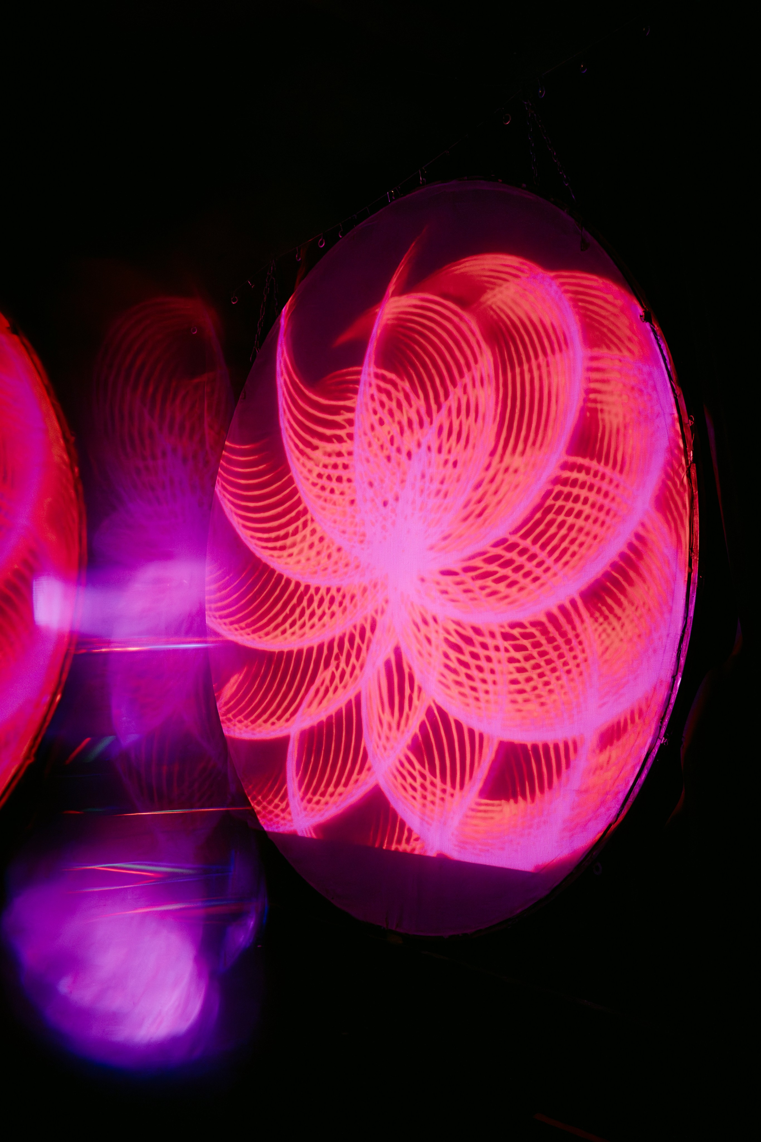 Synesthesia|Werk. Главная