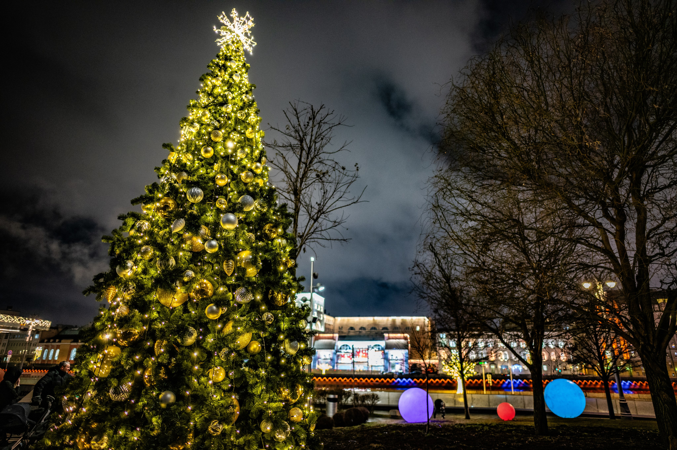Новогодняя ёлка в парке Зарядье в Москве