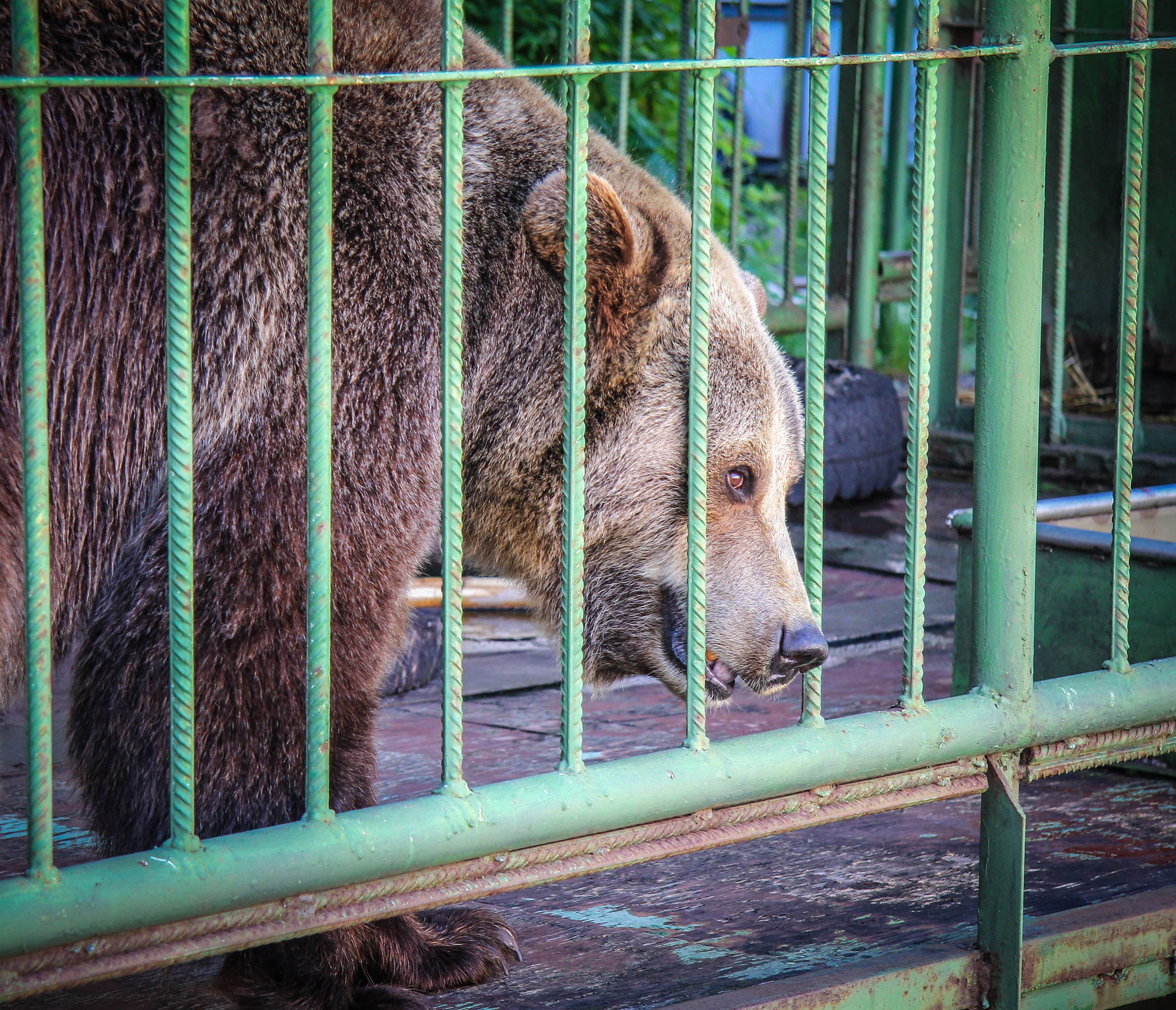 2013. Стрит-фотография, полная абсурда, идиотизма и красоты