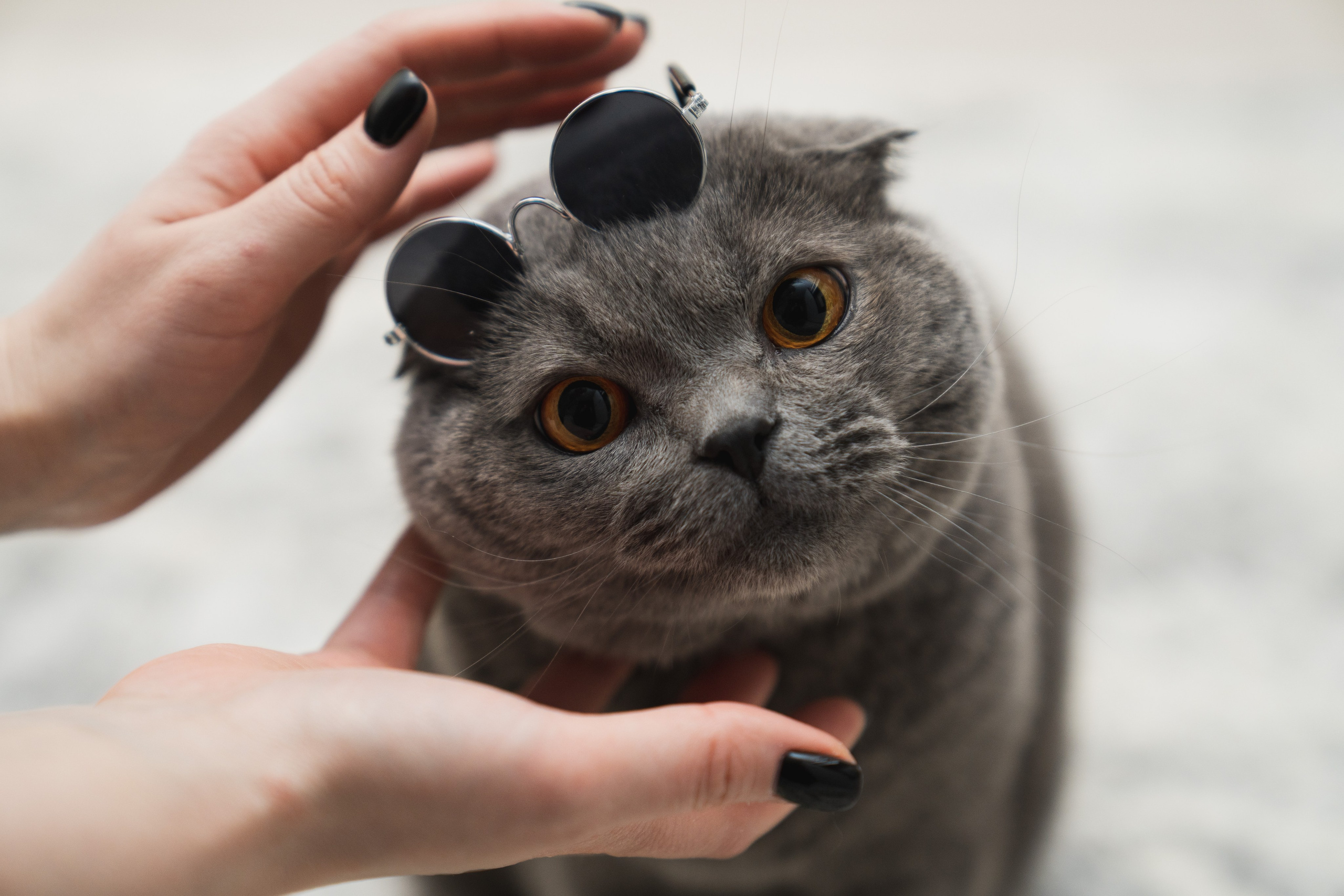 Кефир. Photography&Video