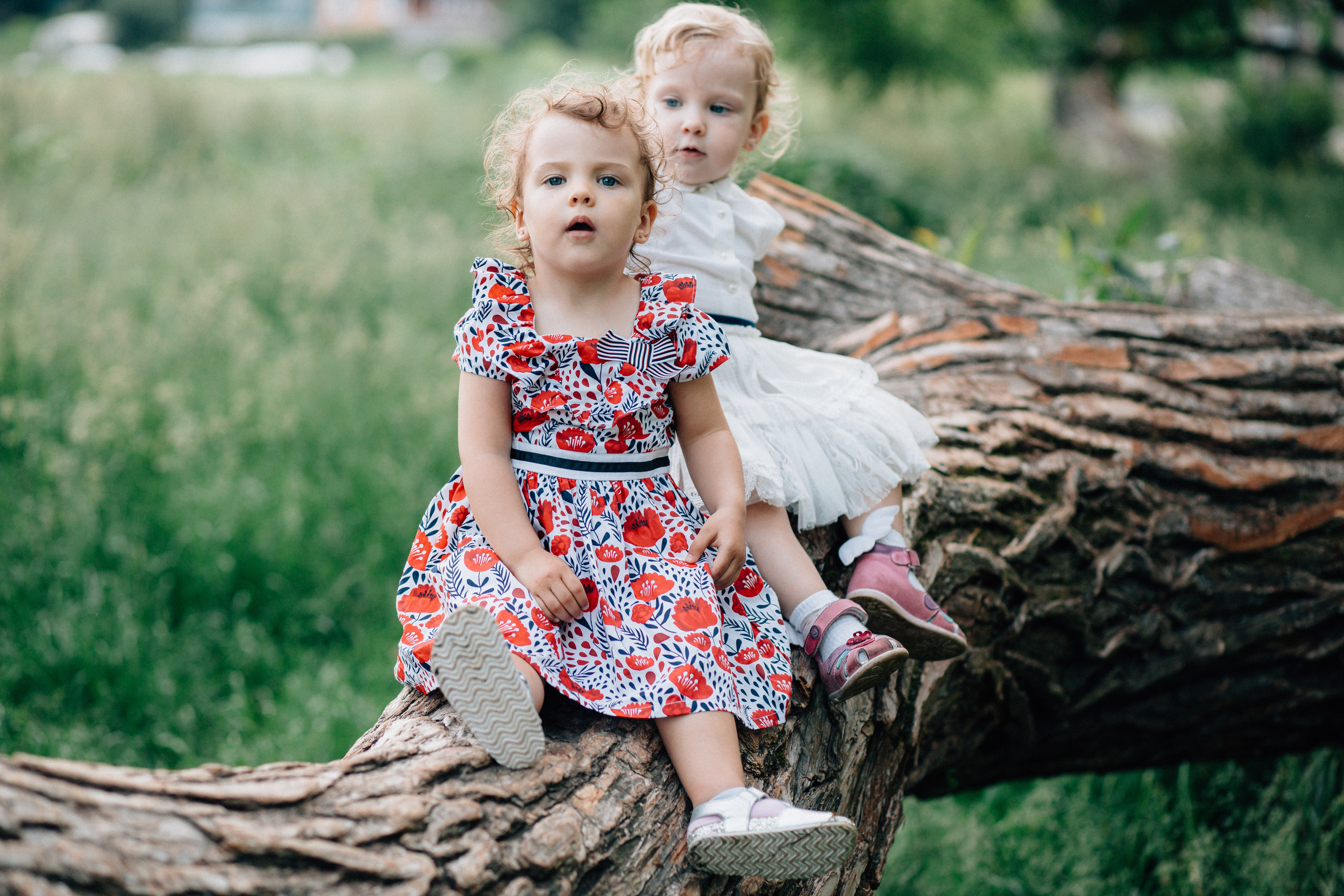 Семейная фотосессия в Прилуках. Фотограф Дмитрий Щекочихин
