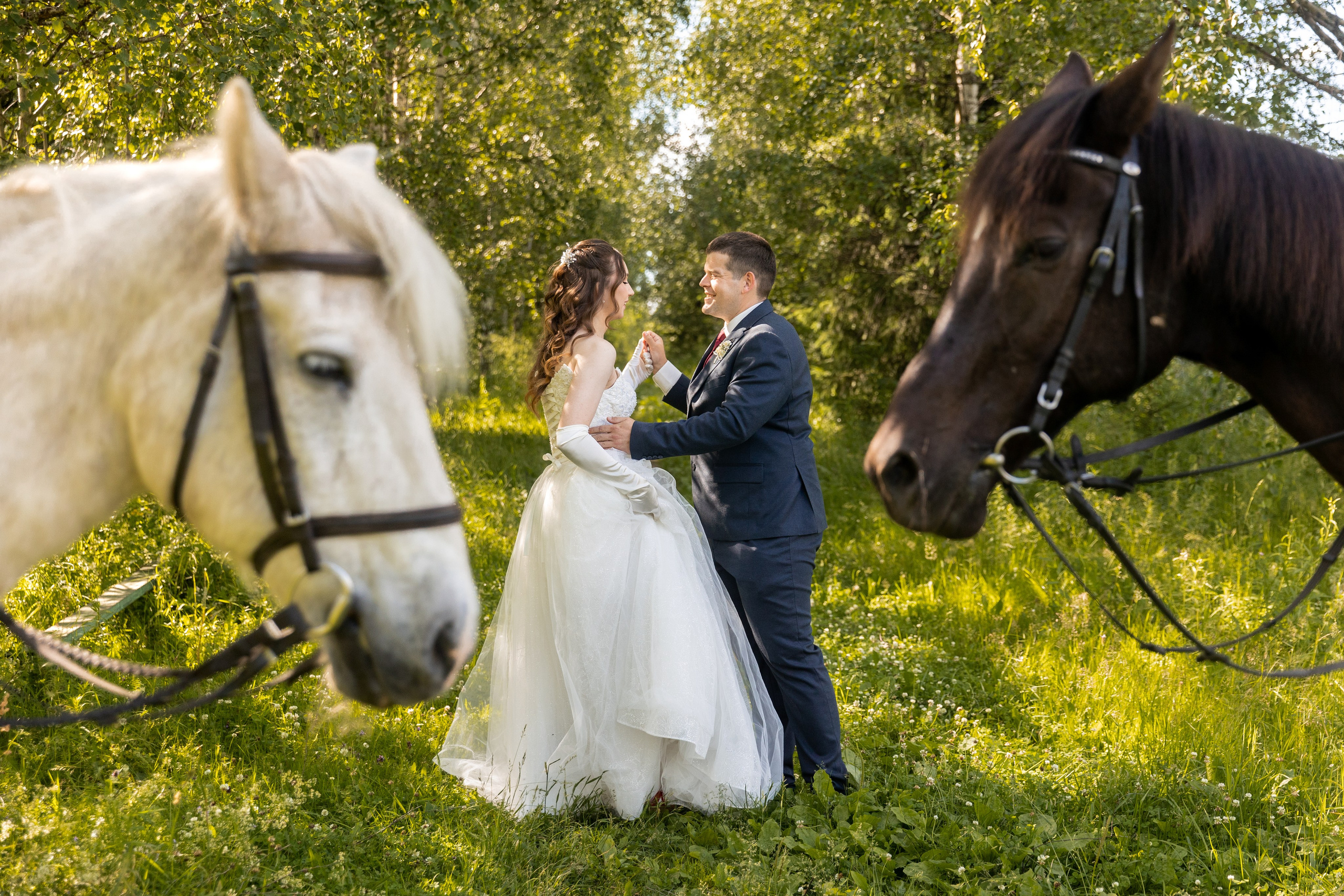 Свадьба и лошади. Свадебный и семейный фотограф Москва и Московская область