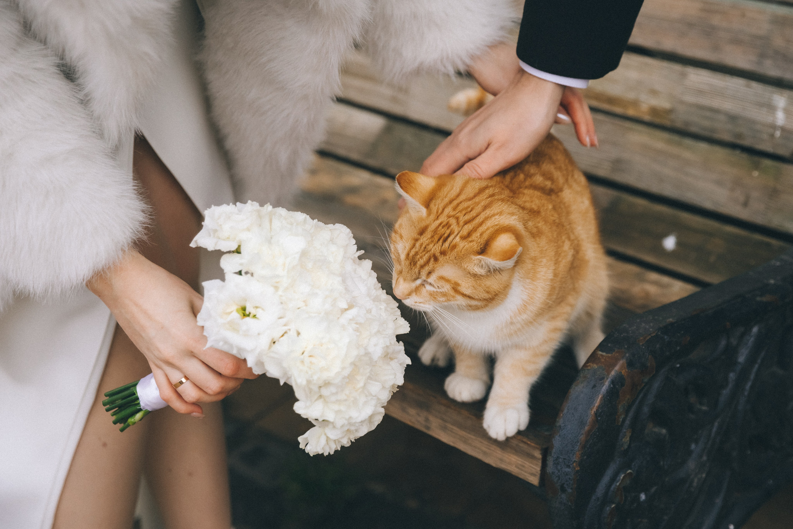 Свадьба в канун Нового года. Фотограф Зеленоградск Красильникова Елена