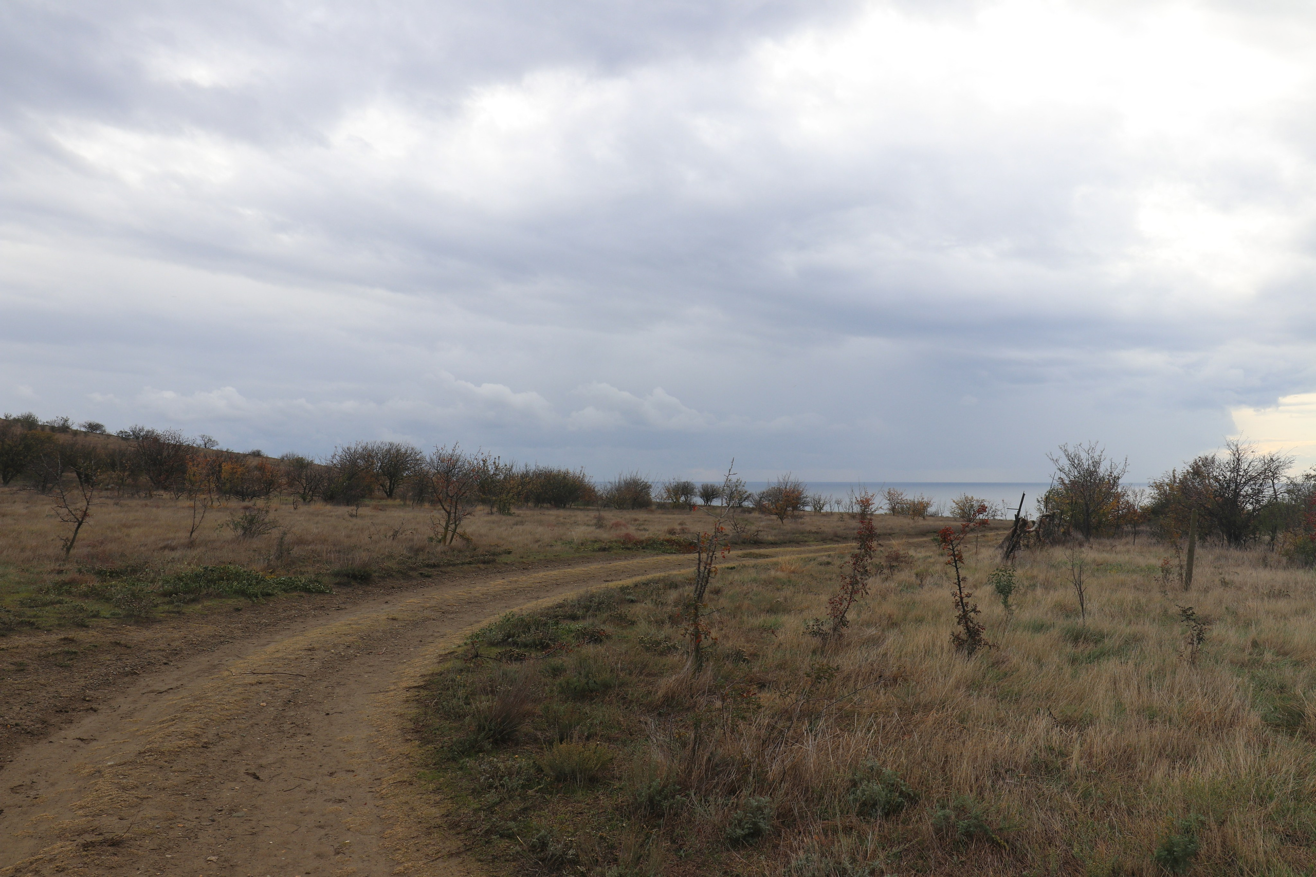 Крым. ЮБК (Судак, Карадаг). Ноябрь 2020. Путешественник-фотограф из Санкт-Петербурга Татьяна Свистулина