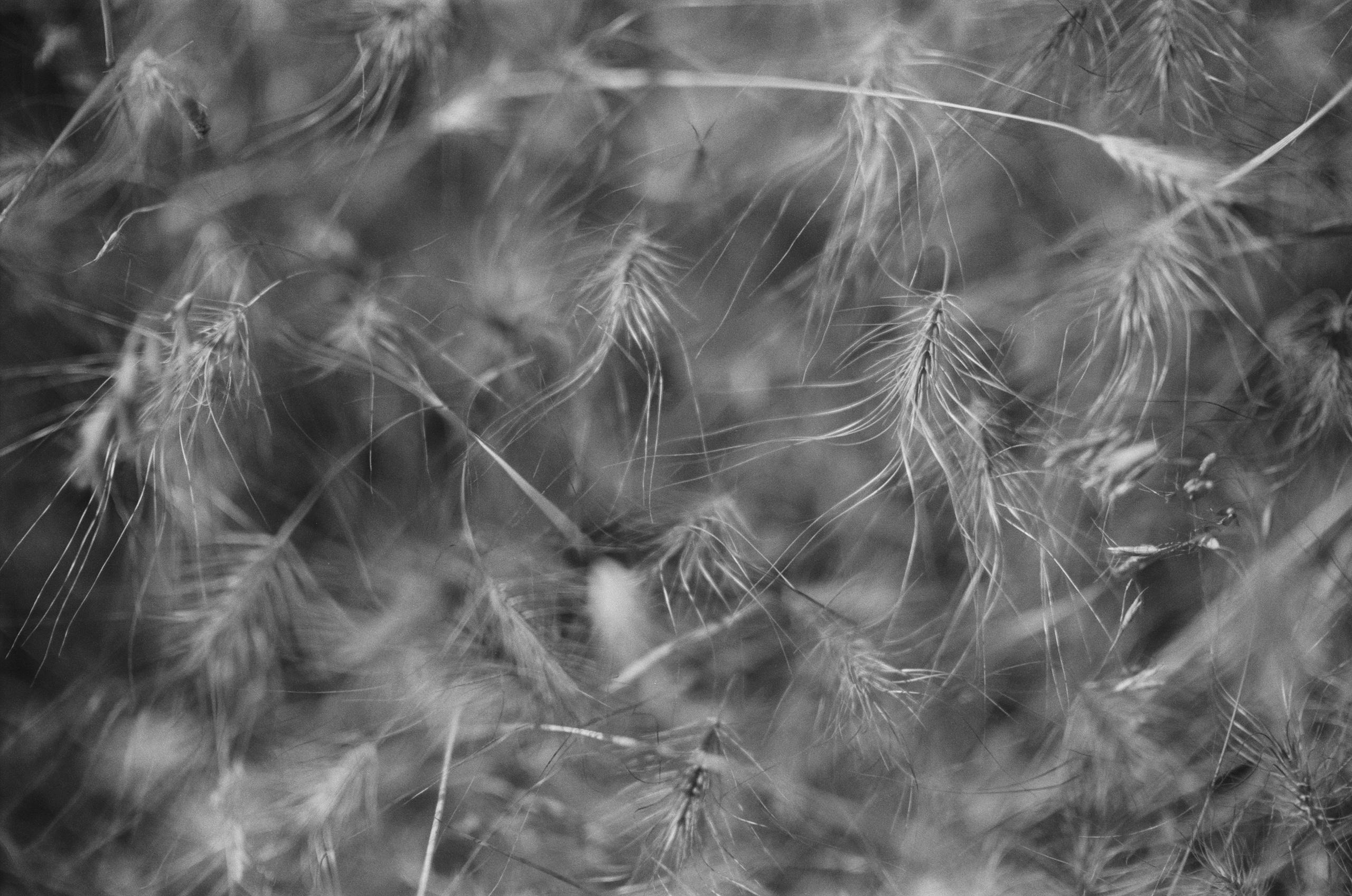 Plastinki // ukraine, crimea II. EVER EXPOSED