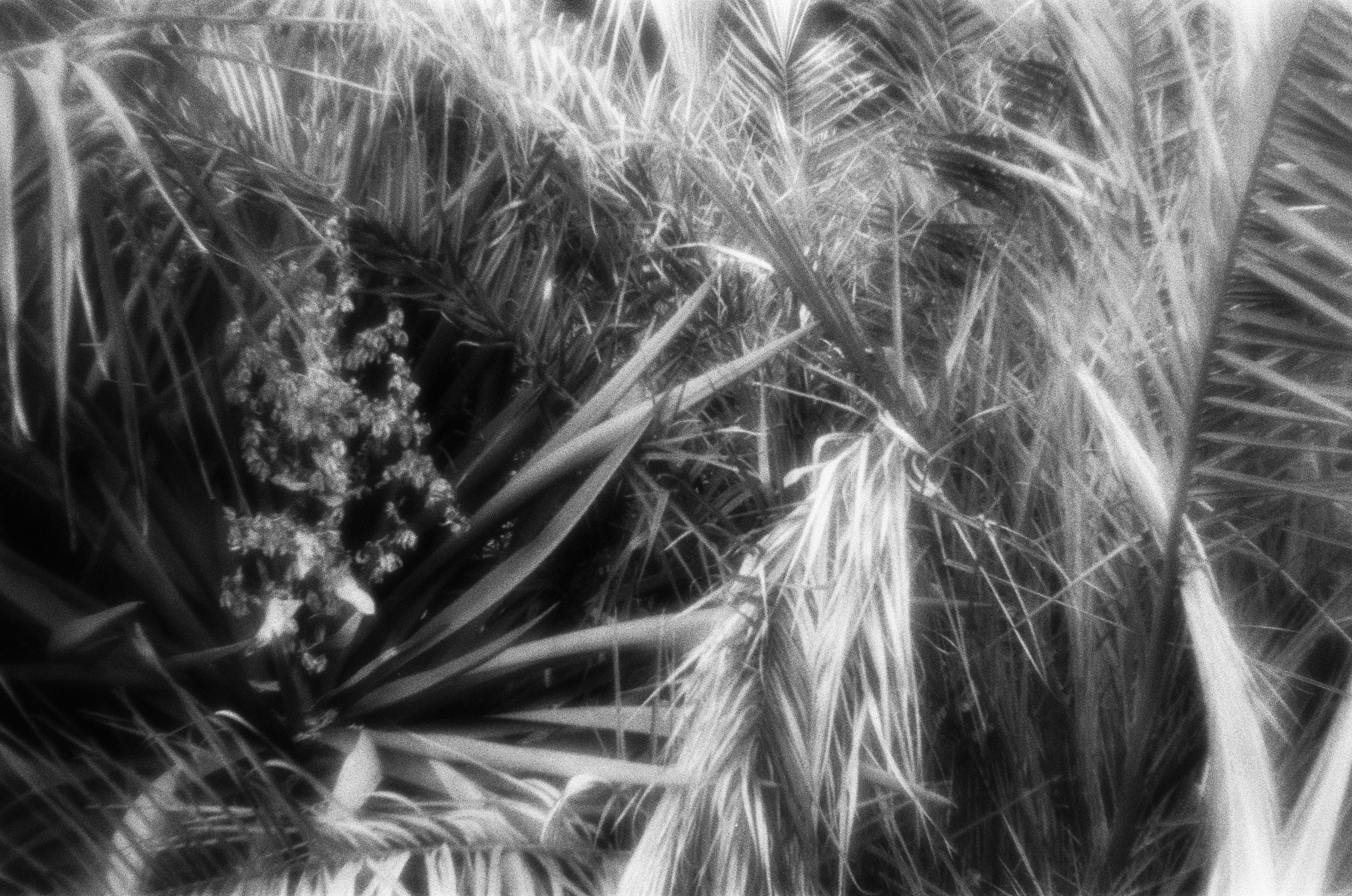 Oblomki chuvstv // ukraine, crimea VI. EVER EXPOSED