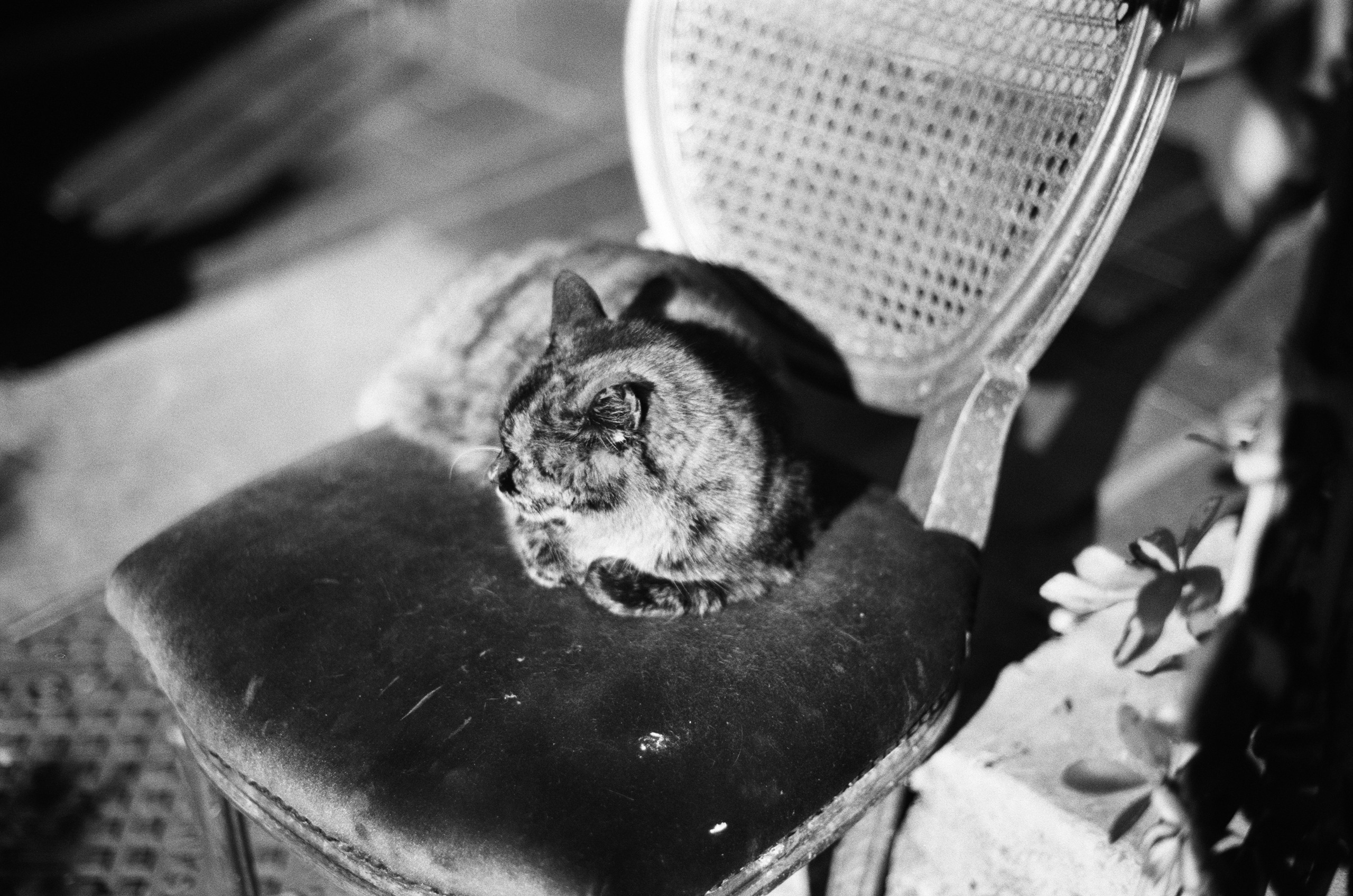 Complicated // turkey, istanbul IV. EVER EXPOSED