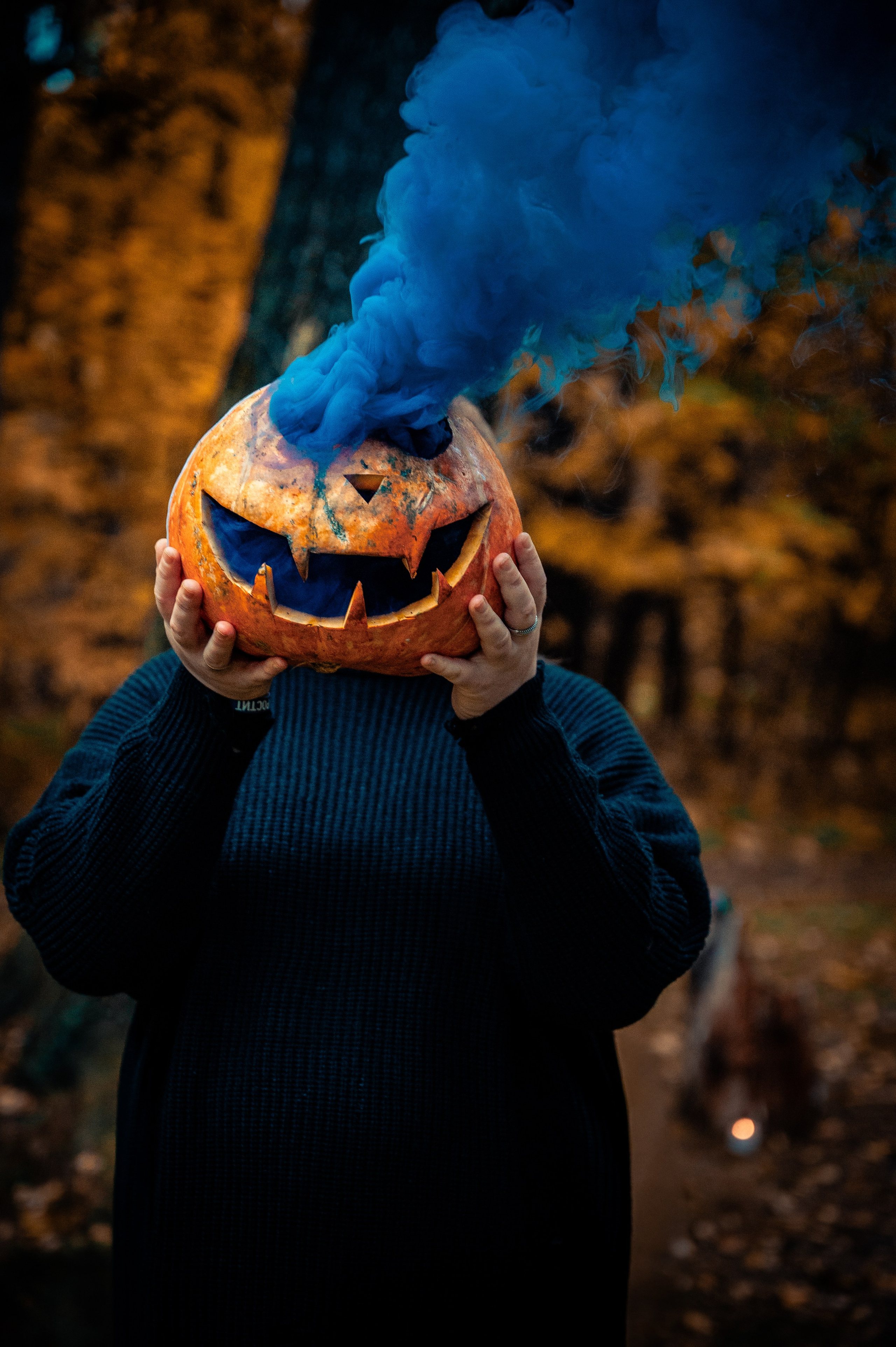 История о Фыре и Фыре. Семейный и детский фотограф в Королеве, Москве и Московской области Строева Анастасия