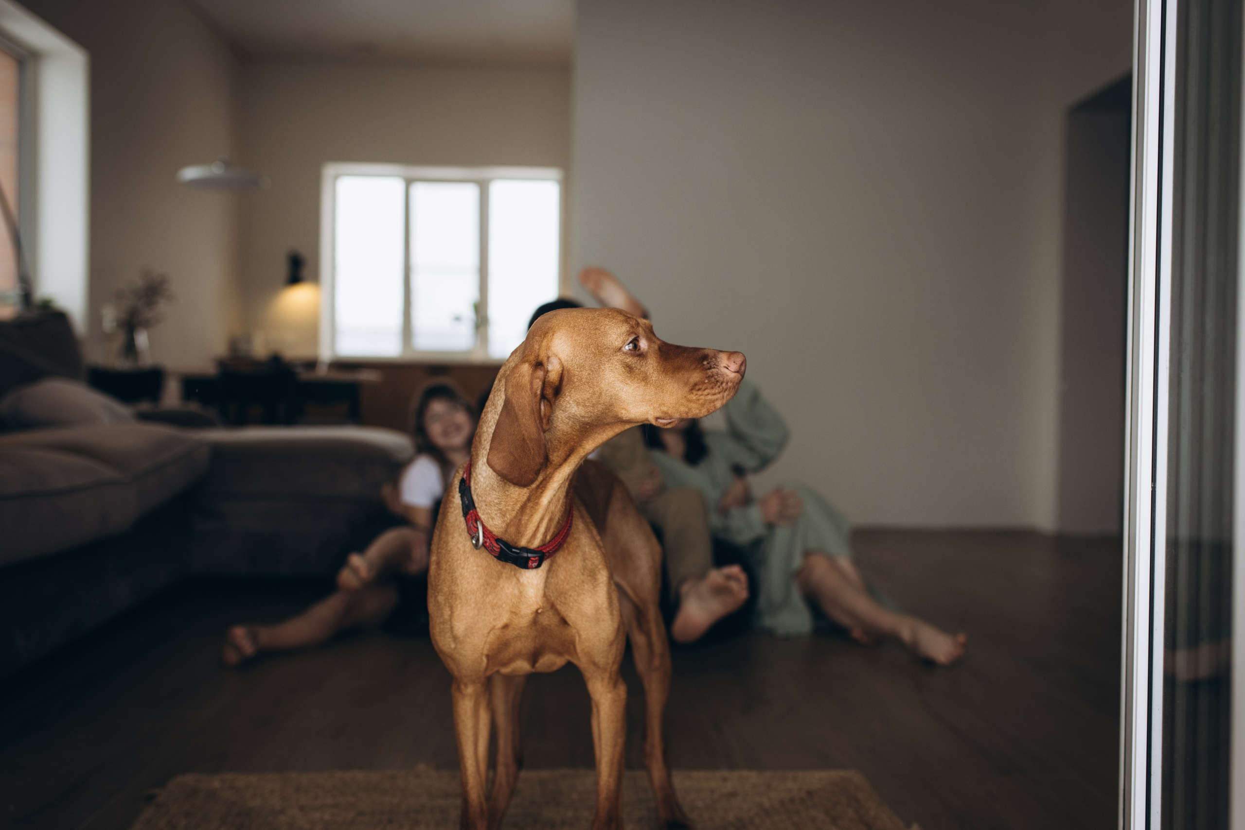 Маша, Саша, Киря и Ника. Klerout Photographer