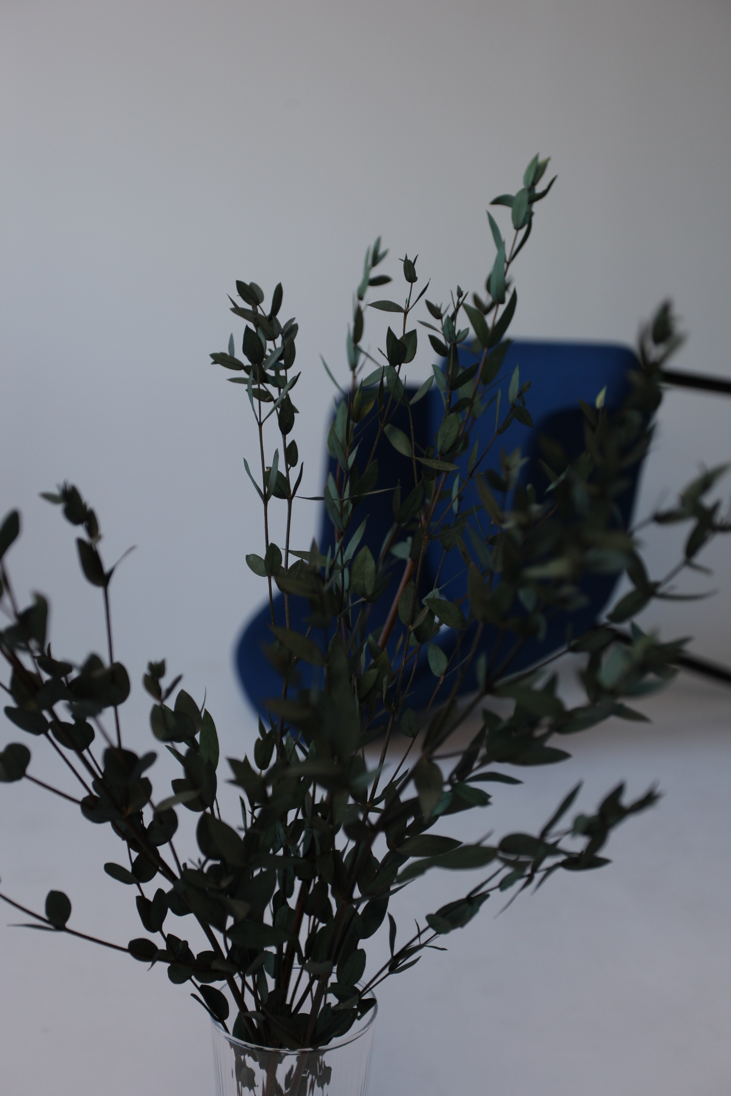 Наш реквизит. Фотостудия UPART