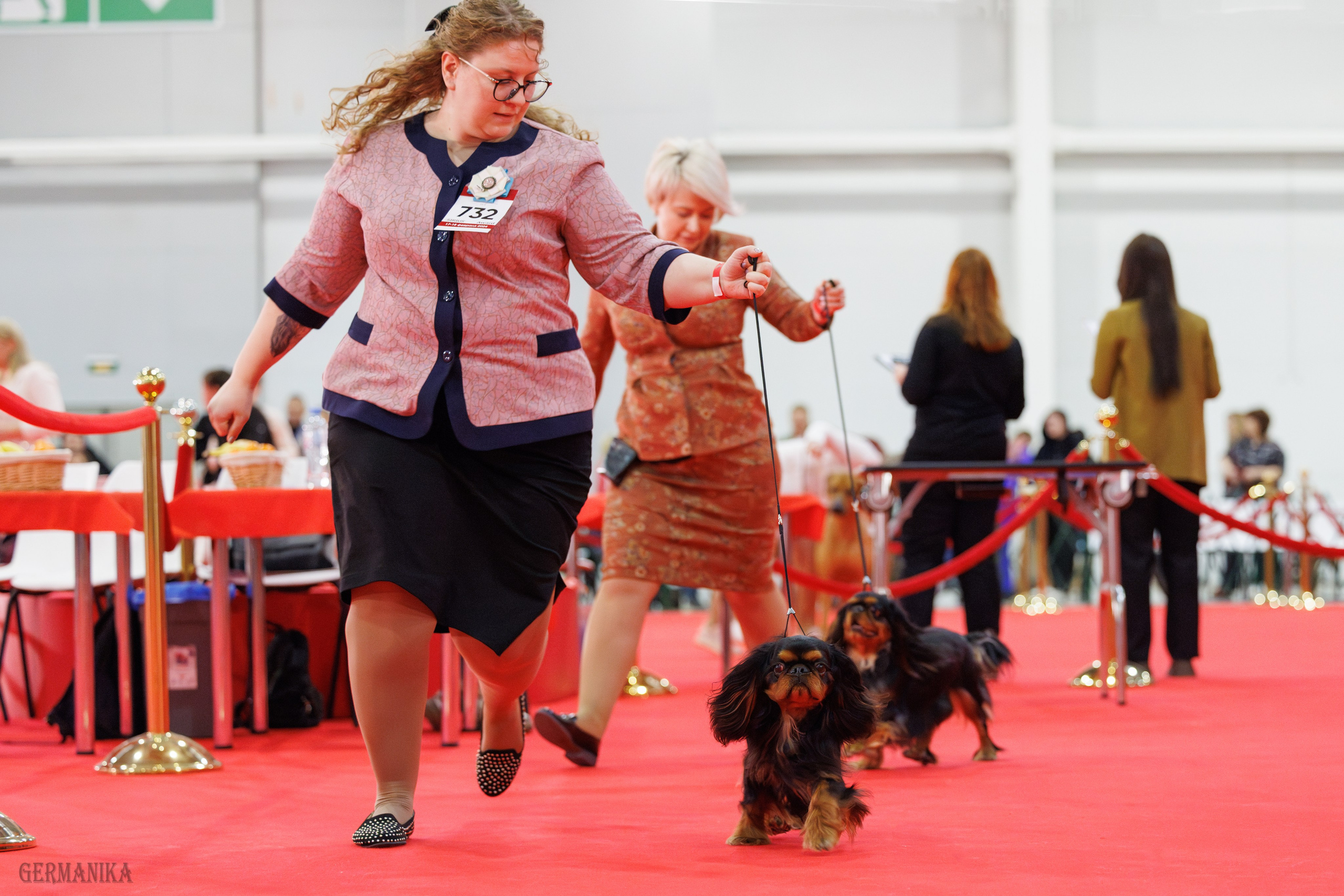 Лучшие Собаки России 17-18.02.2024. Фотограф-анималист Юлия Германика