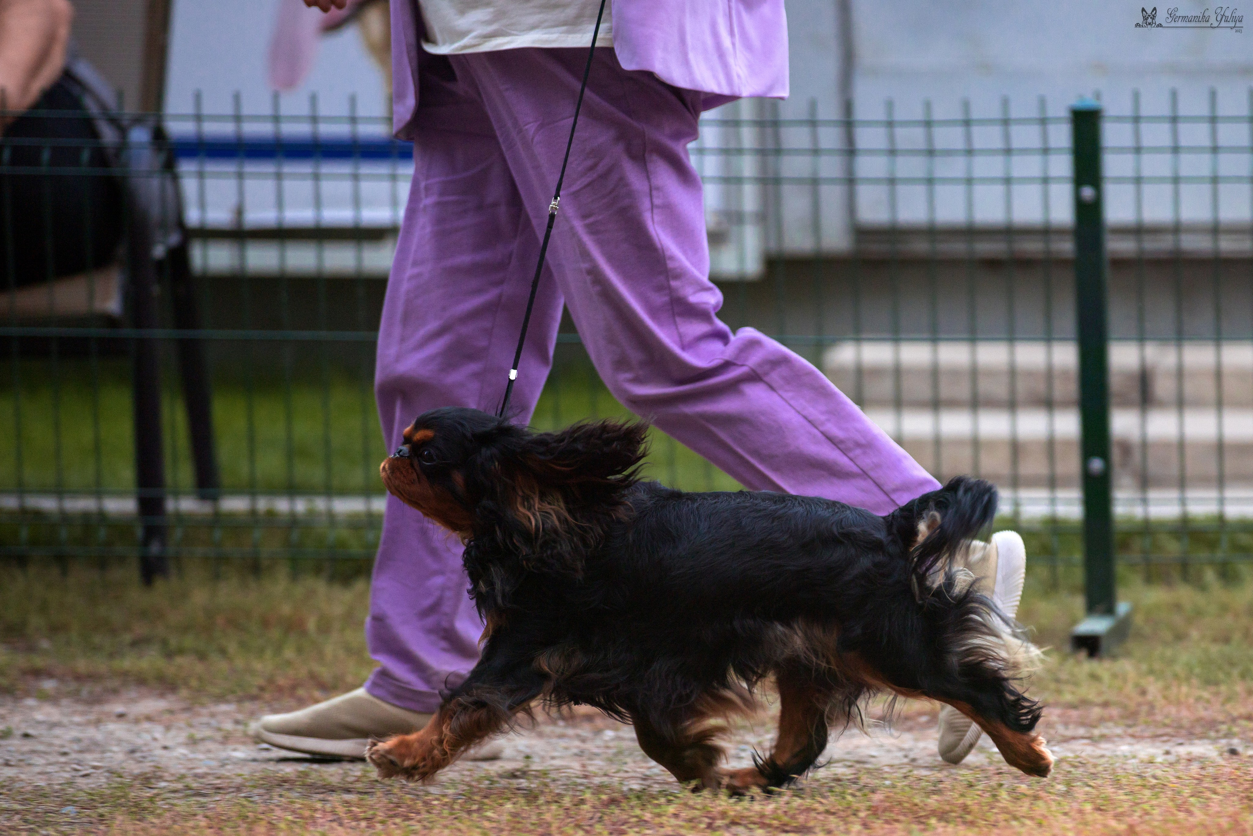 Бишкек 29.09-01.10.2023. Фотограф-анималист Юлия Германика